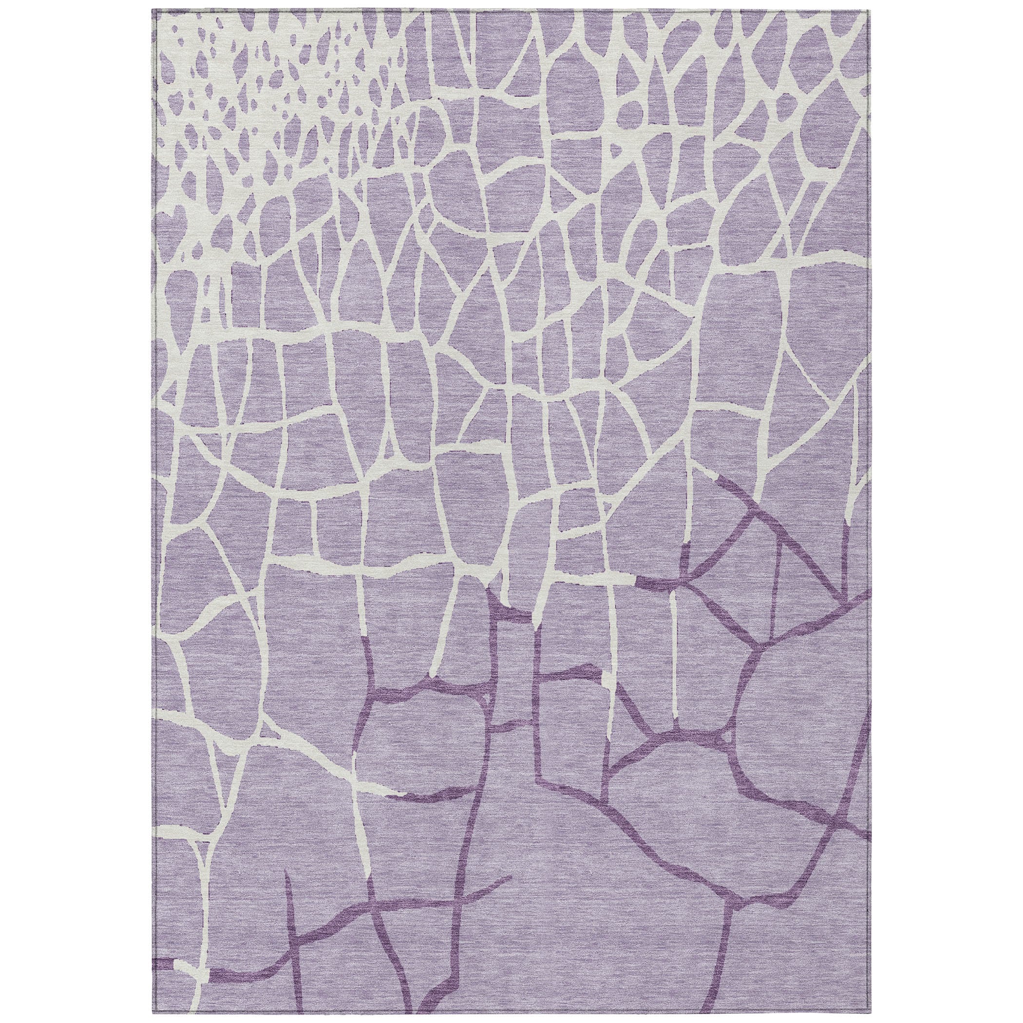 Addison Rugs ACN1049LV30X46 rugs - View #2