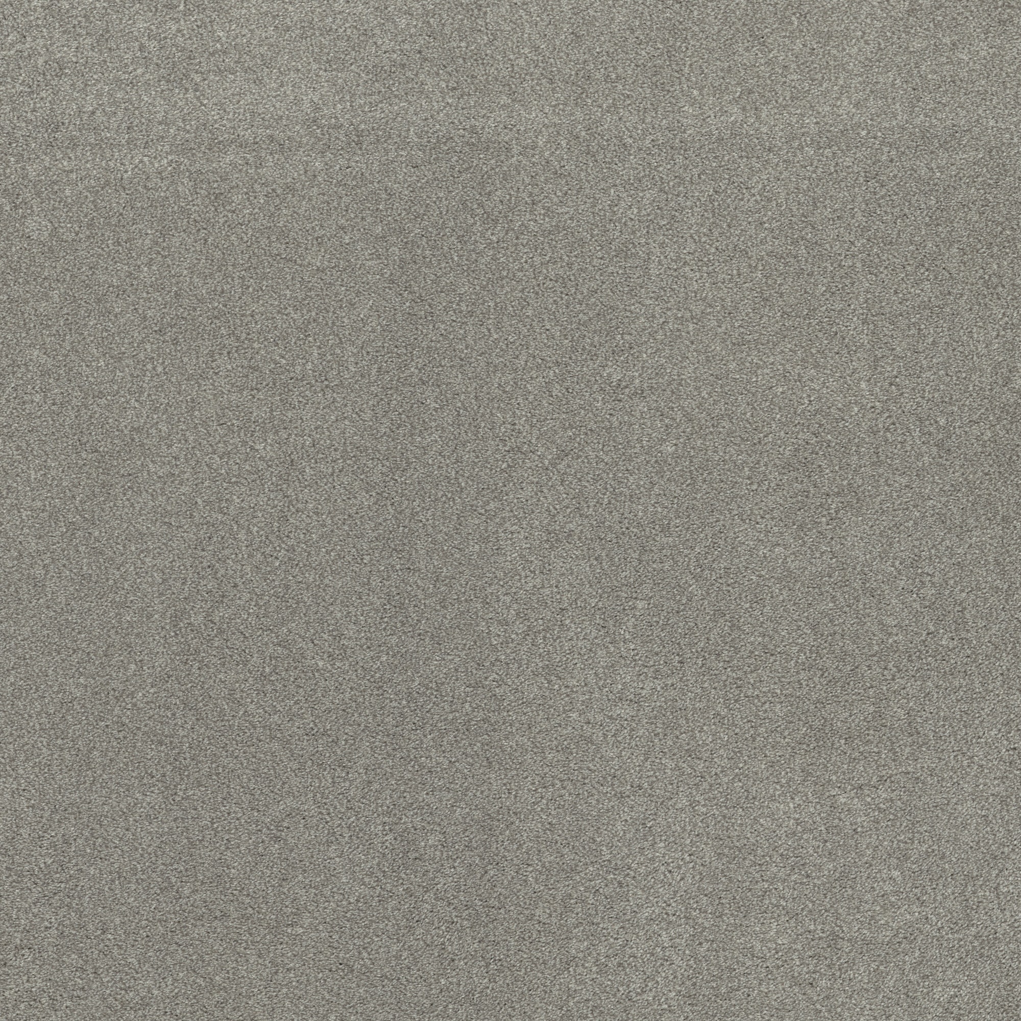 STAINMASTER PetProtect 7L928-534-SAMP (Sample) with LeakDefense Splash Dance I Aluminum Gray 58.5-oz sq yard Polyester Textured Indoor Carpet