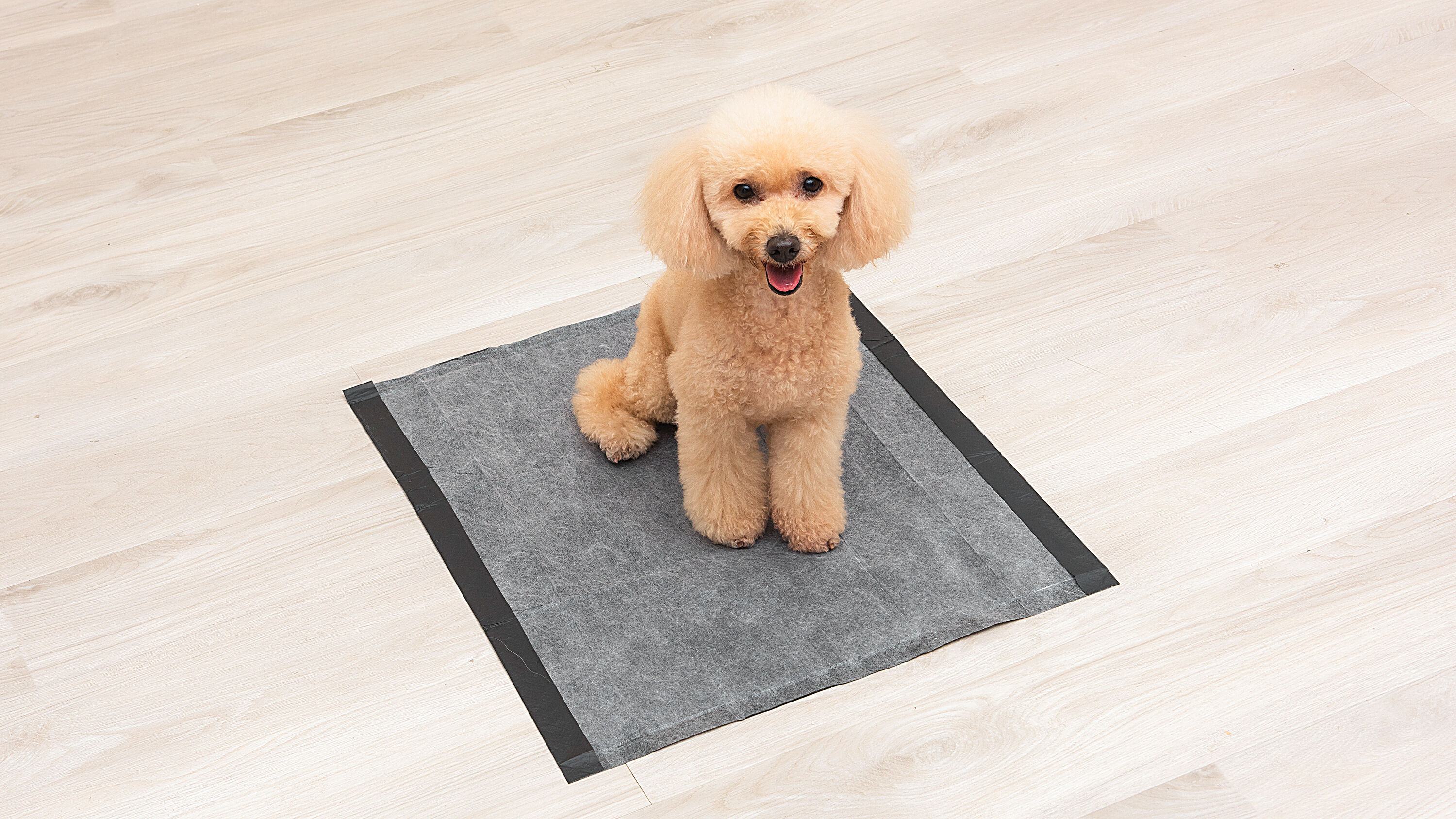 Glad FFP8654 Puppy-Pads - View #4