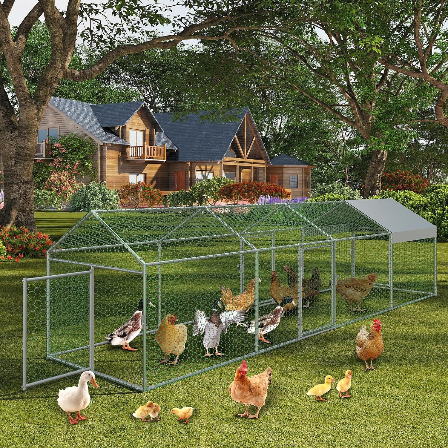 Qeetex GGL-PPG-33EVRBGU Chicken-Coops-Rabbit-Hutches - View #4