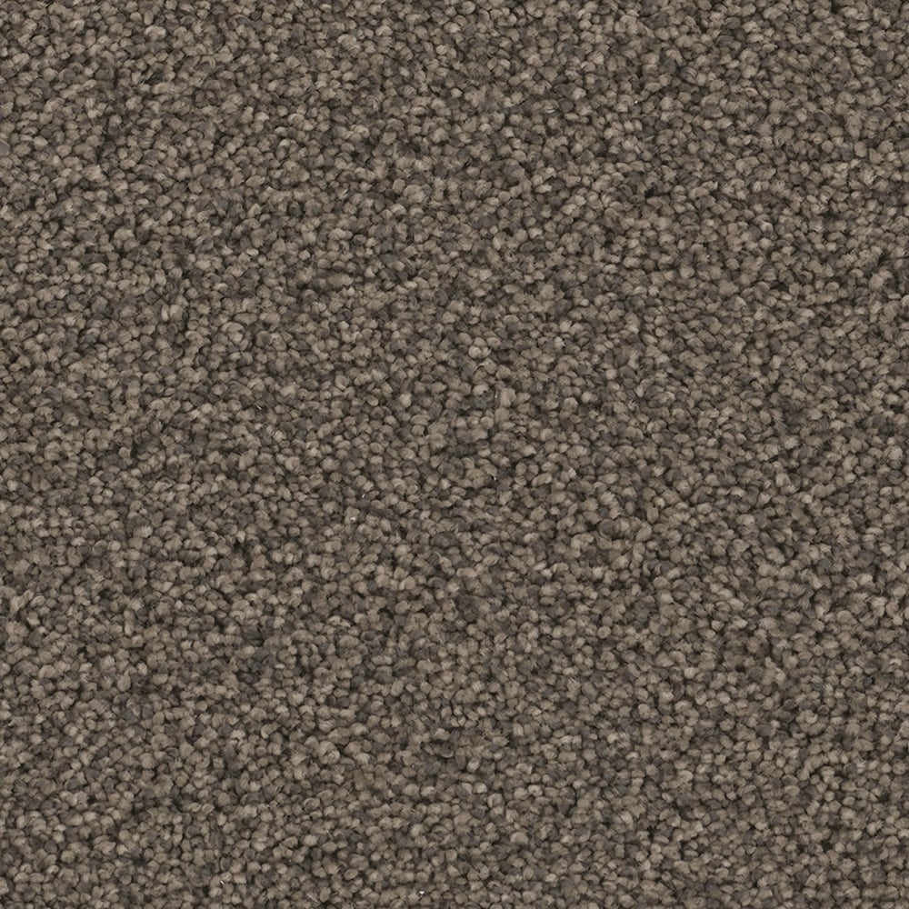 STAINMASTER PetProtect S9354-946-1200-MO Mar Vista High Bluff Multi-Colored 54-oz sq yard Nylon Textured Indoor Carpet