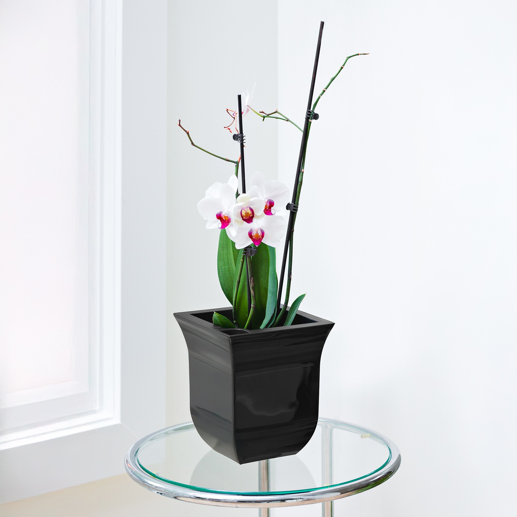 Mayne 3870-B Planter-Window-Box - View #3