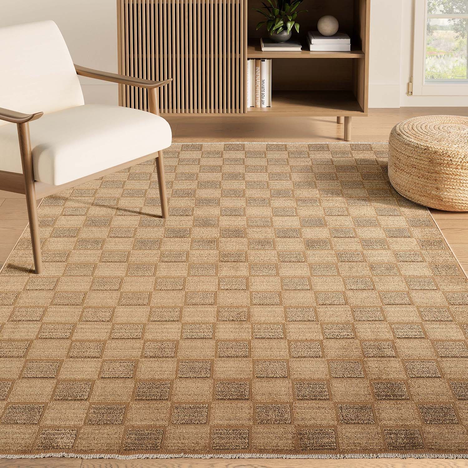 Evelyn 8 x 10 (ft) Loomed Polyester/Polypropylene Brown/Beige Rectangular Indoor Checkered Spot Clean Only Area rug