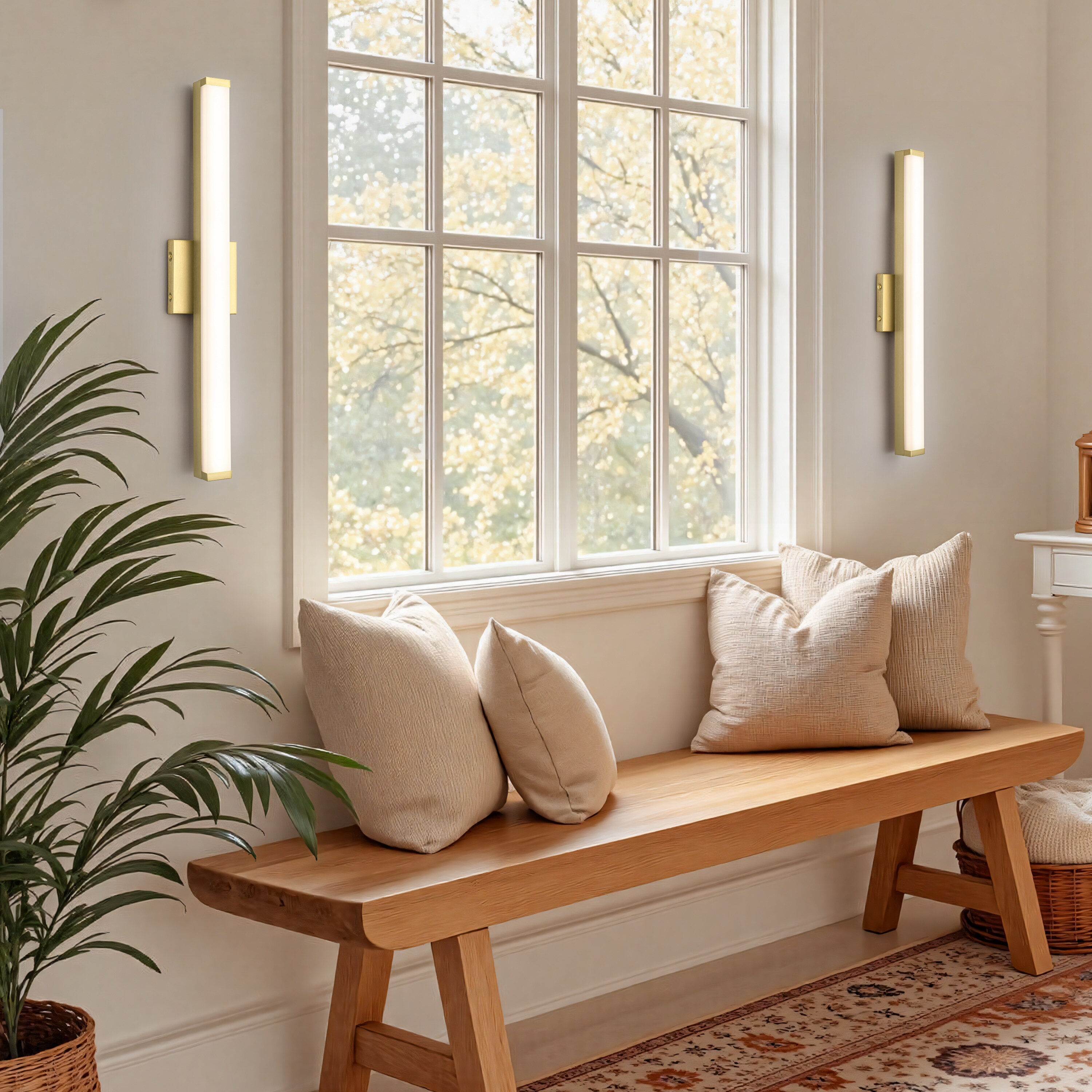 C Cattleya LCA2641-SWB b089995 - View #7