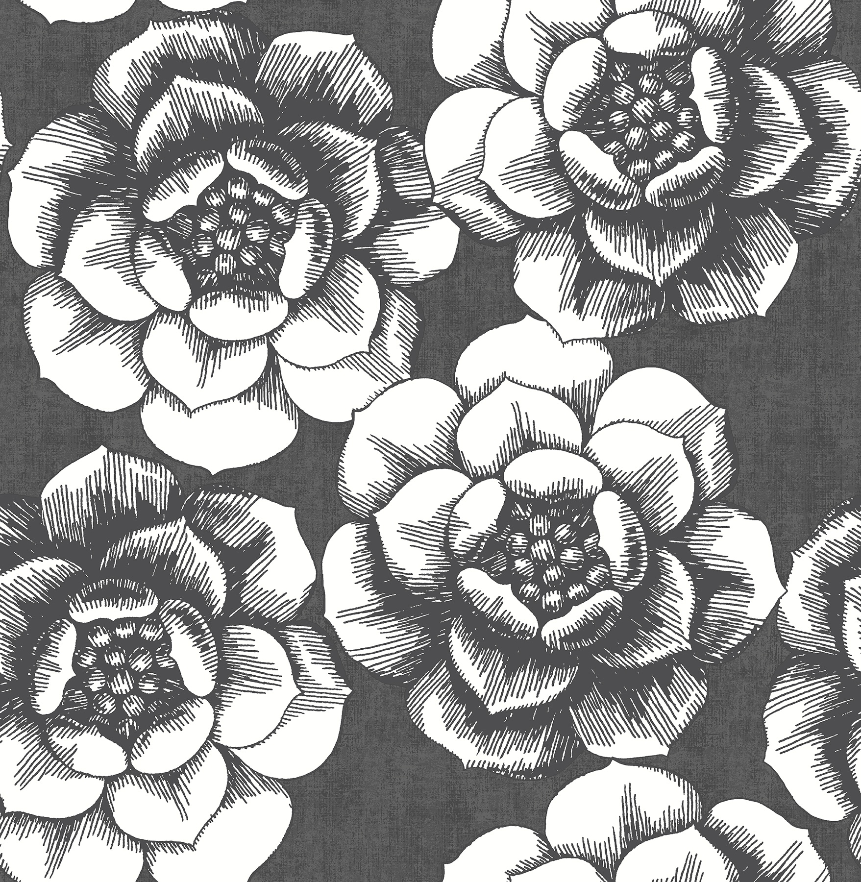 A-Street Prints 2763-24206 Moonlight 56.4-Sq. Feet Black Non-woven Floral Unpasted Wallpaper