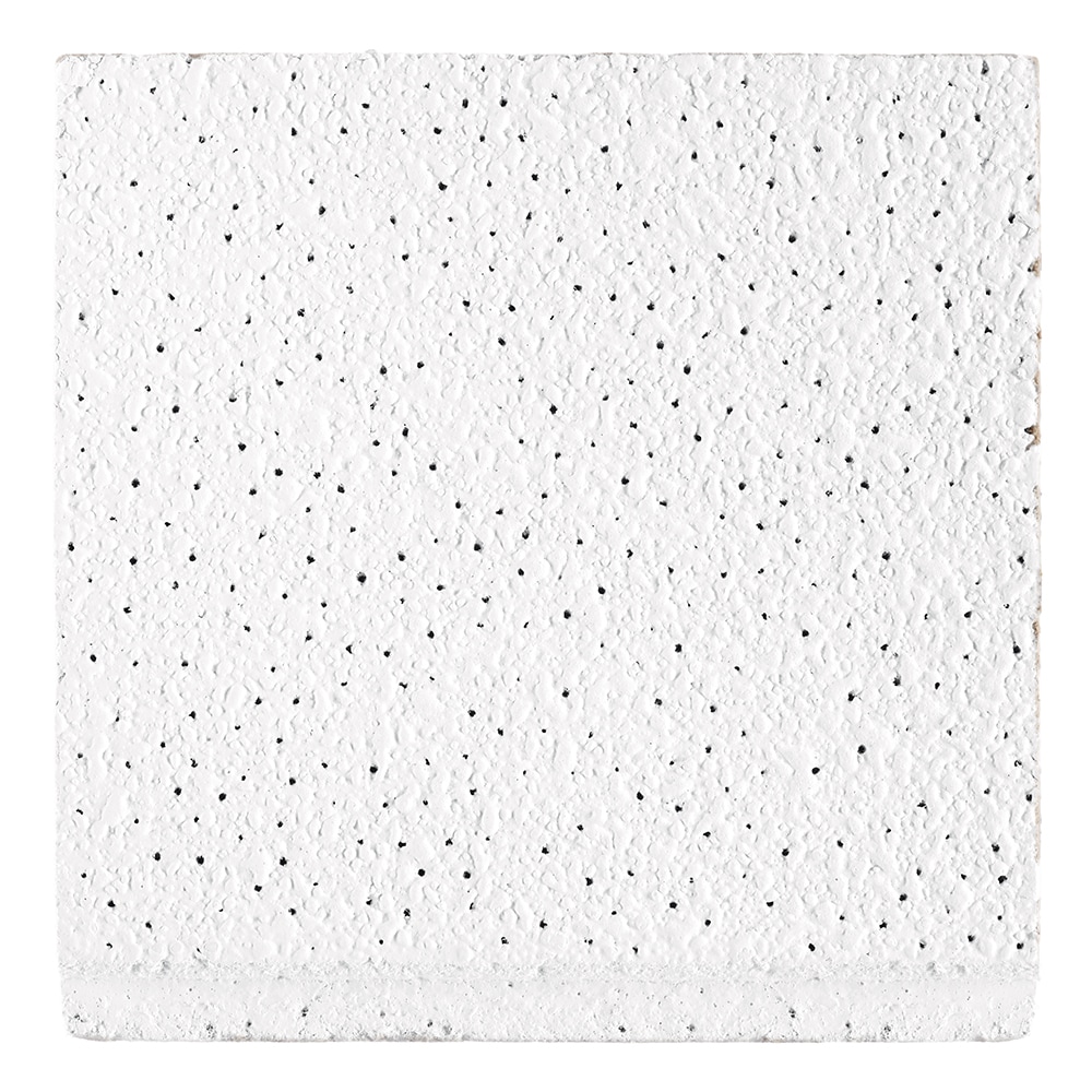 Armstrong Ceilings RSM269 Ceiling-Tile-Samples - View #2