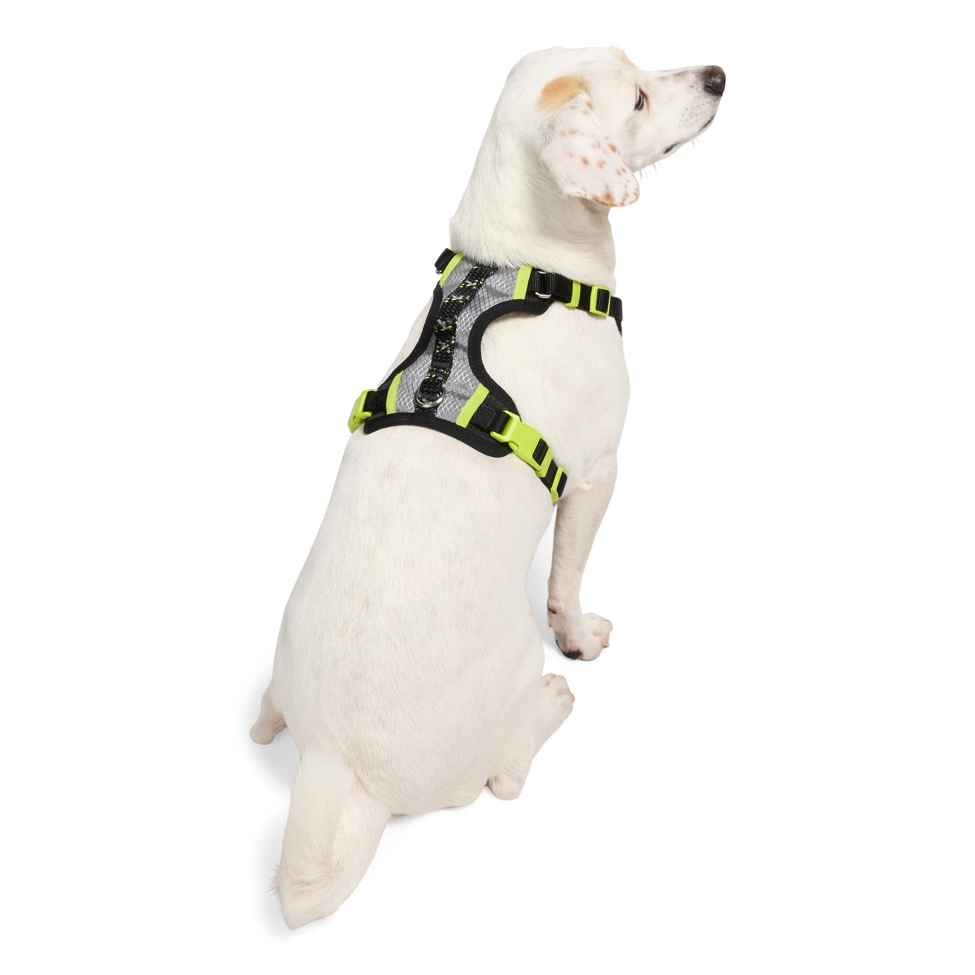 Youly 4595291 Dog-Collars-Harnesses - View #3