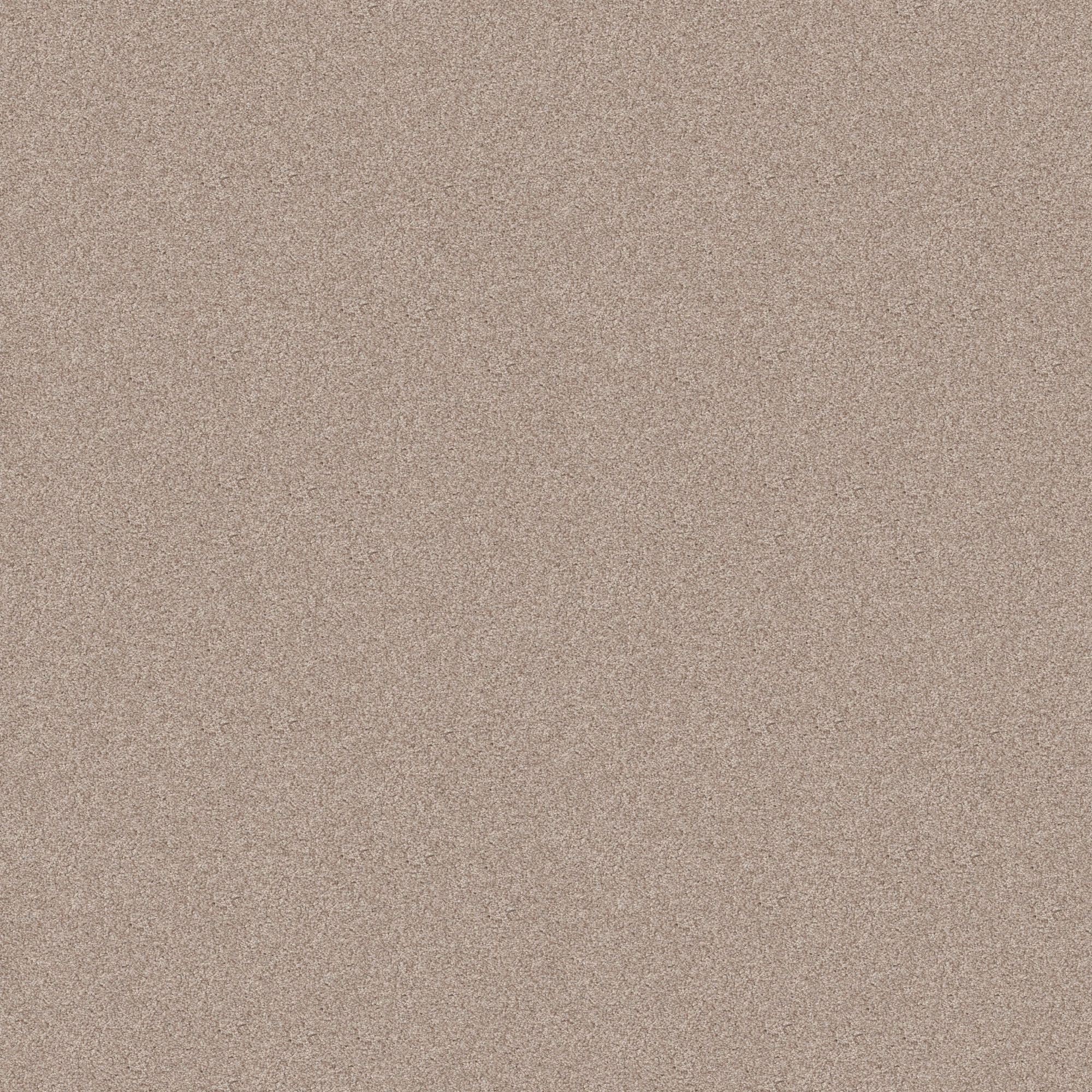 STAINMASTER PetProtect 7L90800803 Paws Down III Heirloom Brown 58.5-oz sq yard Nylon Textured Indoor Carpet