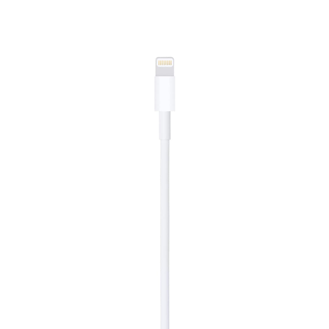 Cable iPhone Lightning - USB 1m APPLE