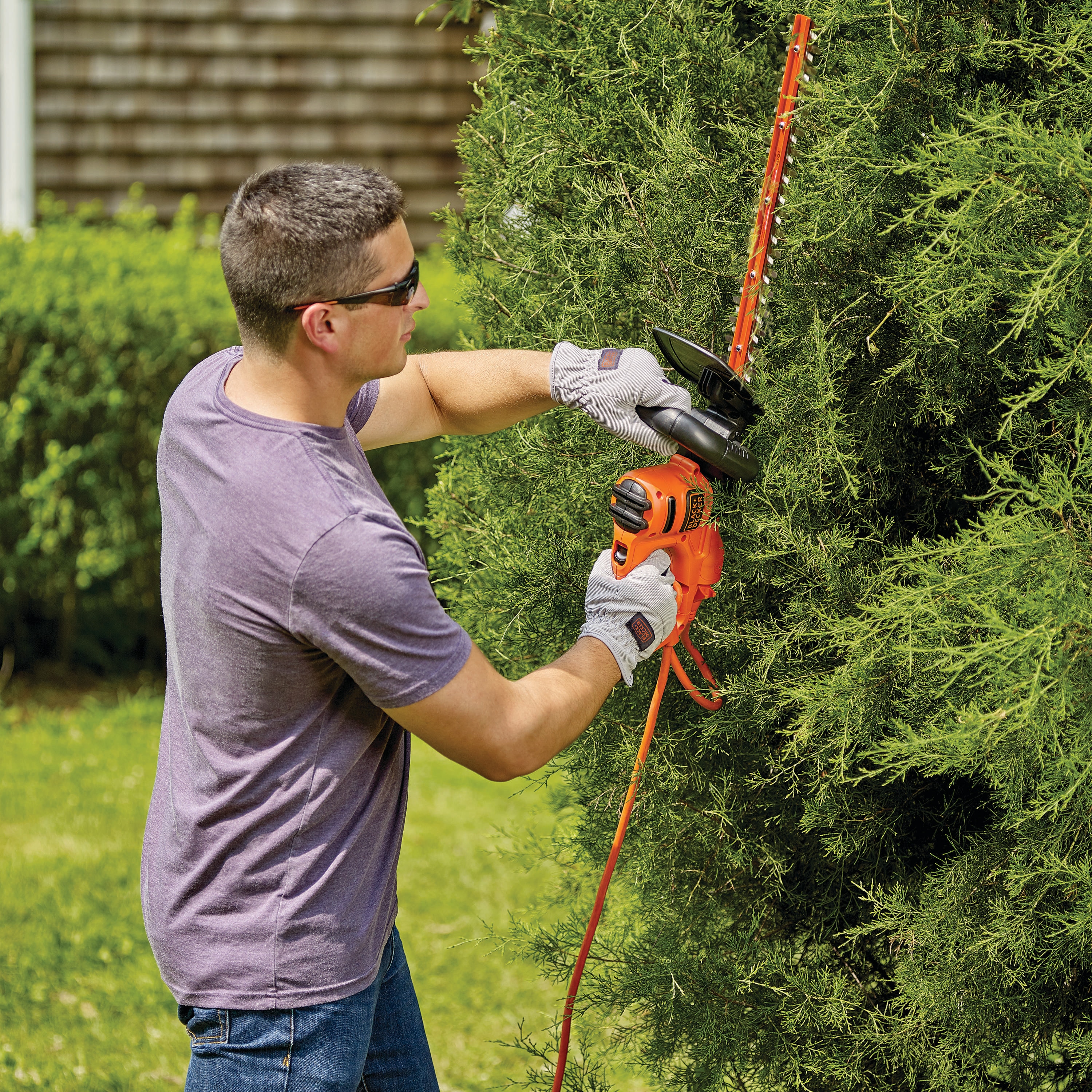 Black & Decker Electric Weed Eater and Hedge Trimmer - Nex-Tech