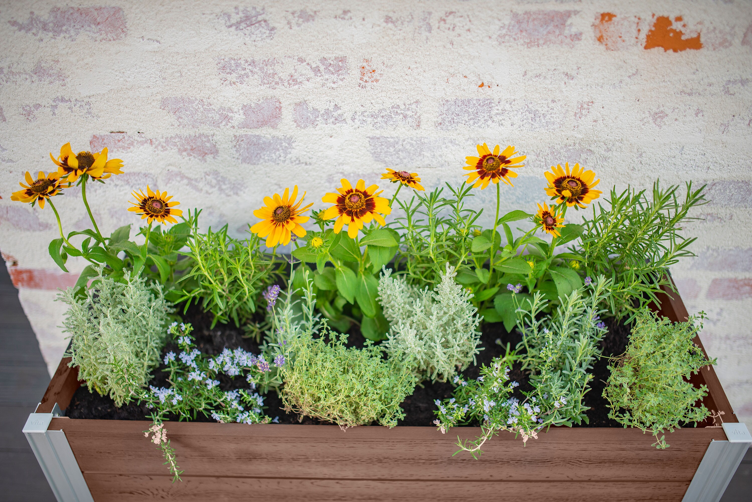 Vita VT17532 Planter-Window-Box - View #6