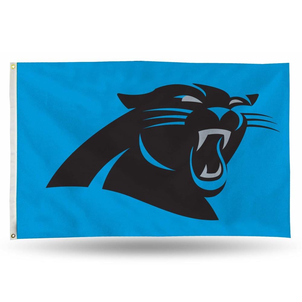 Rico Industries 5-ft W x 3-ft H Carolina Panthers Banner at