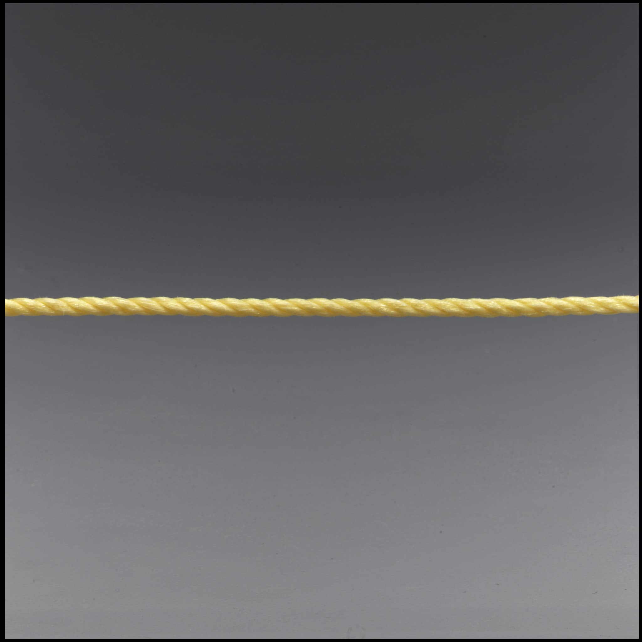 Wellington 14345 1/4-Inch Diameter Poly Twist Rope Per Foot at