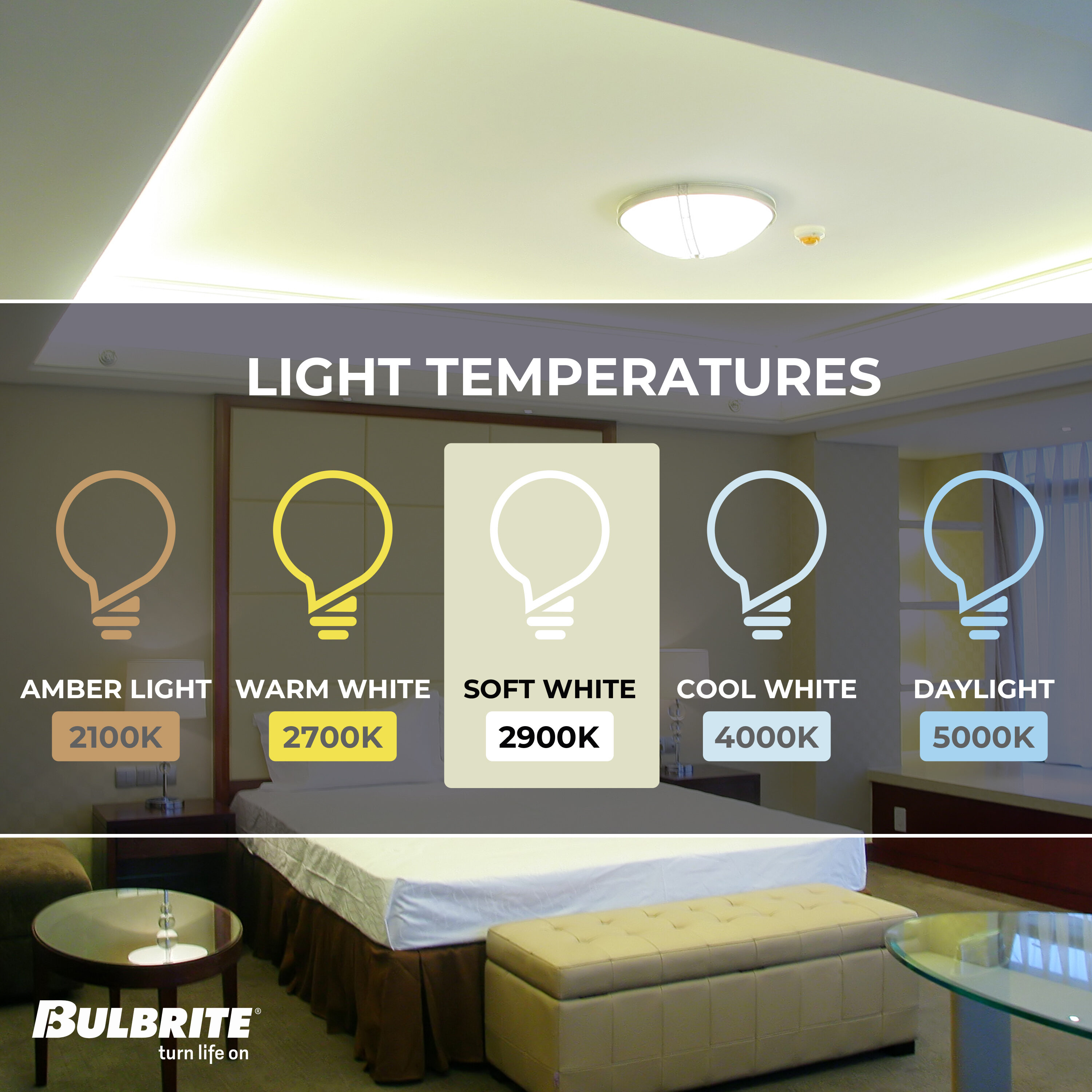 Bulbrite 860833 Specialty-Light-Bulbs - View #3