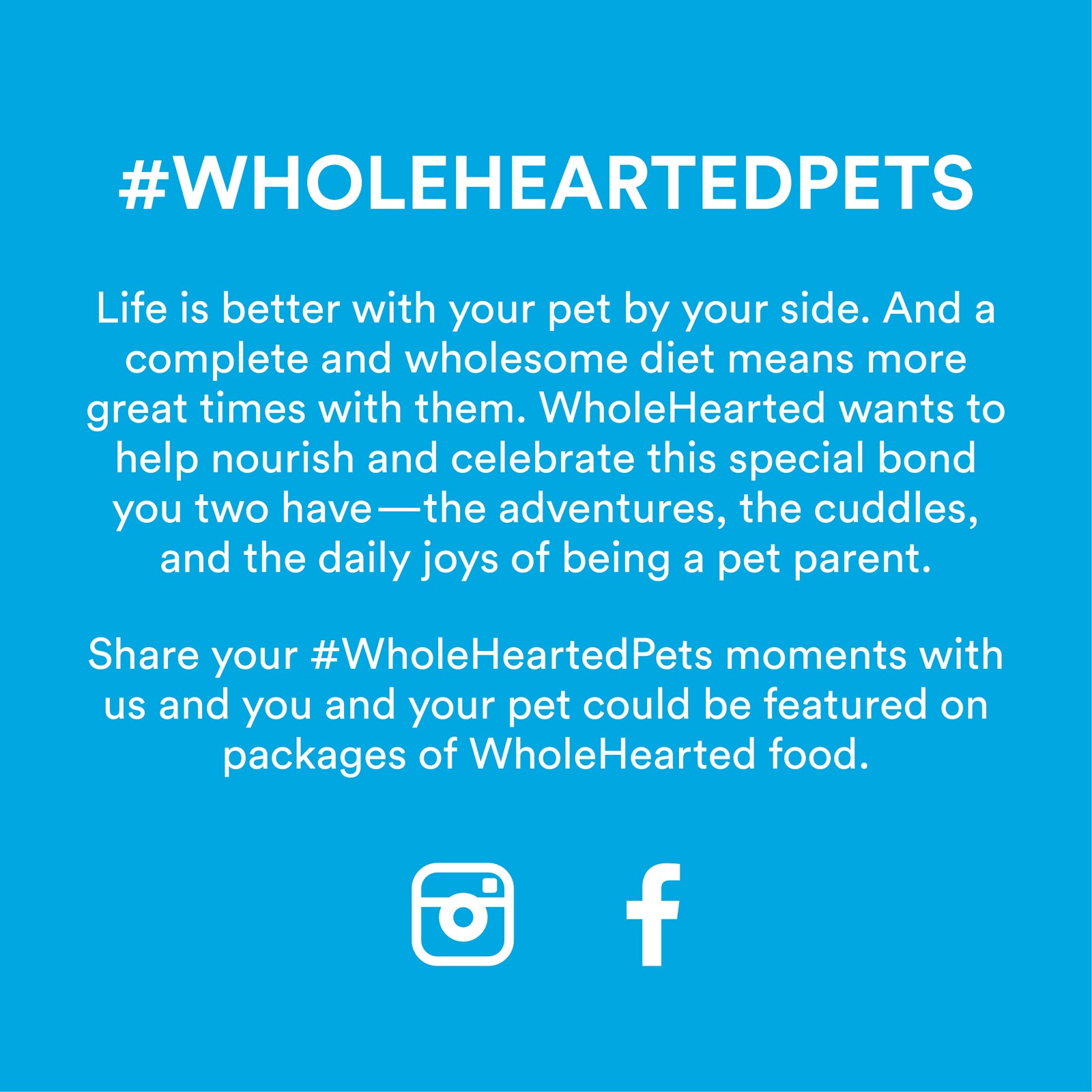 Wholehearted grain free all life stages salmon and outlet pea recipe dry dog food