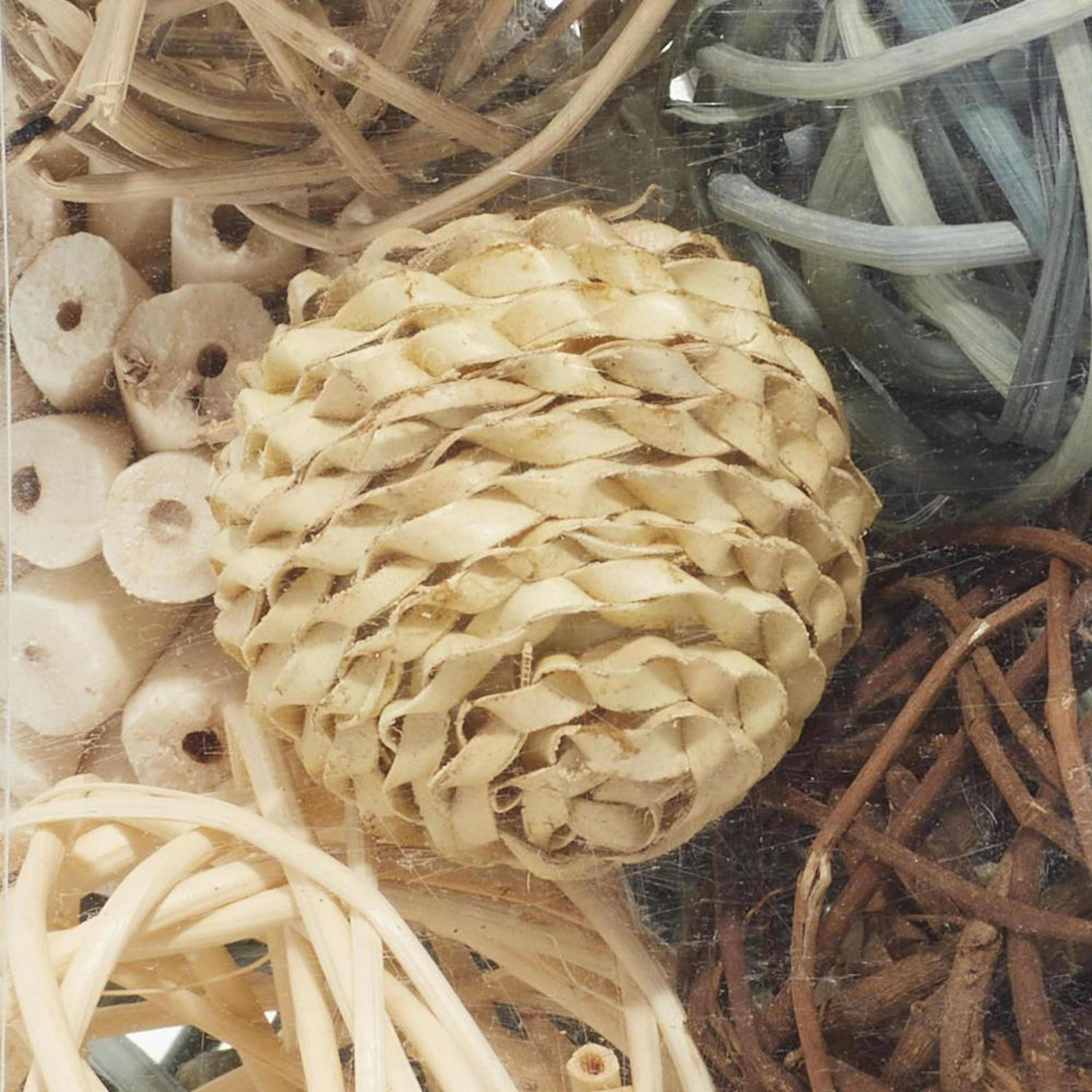 Multi-Colored Handmade Dried Plant Orbs Vase Filler Set