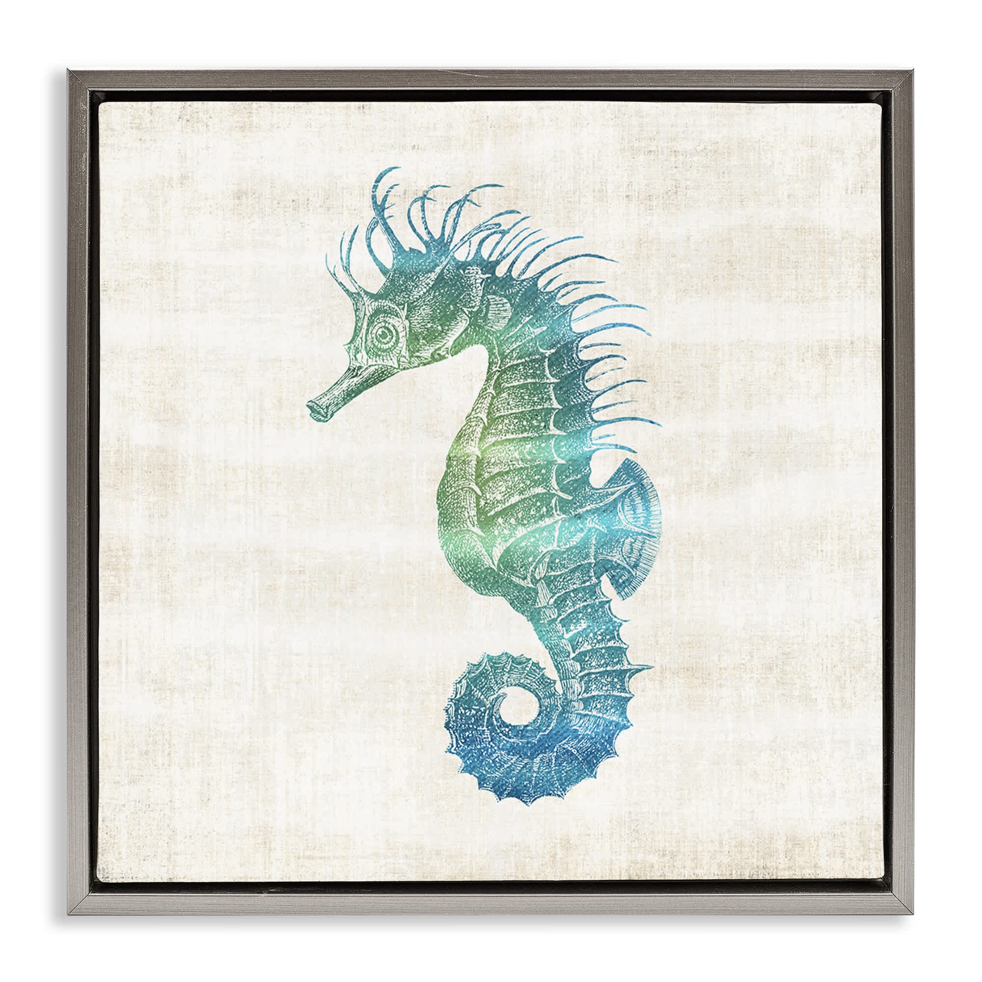 Stupell Industries BS-166-FFL-17X17 Ombre Seahorse Expression Floating Frame design by Susan Arnot