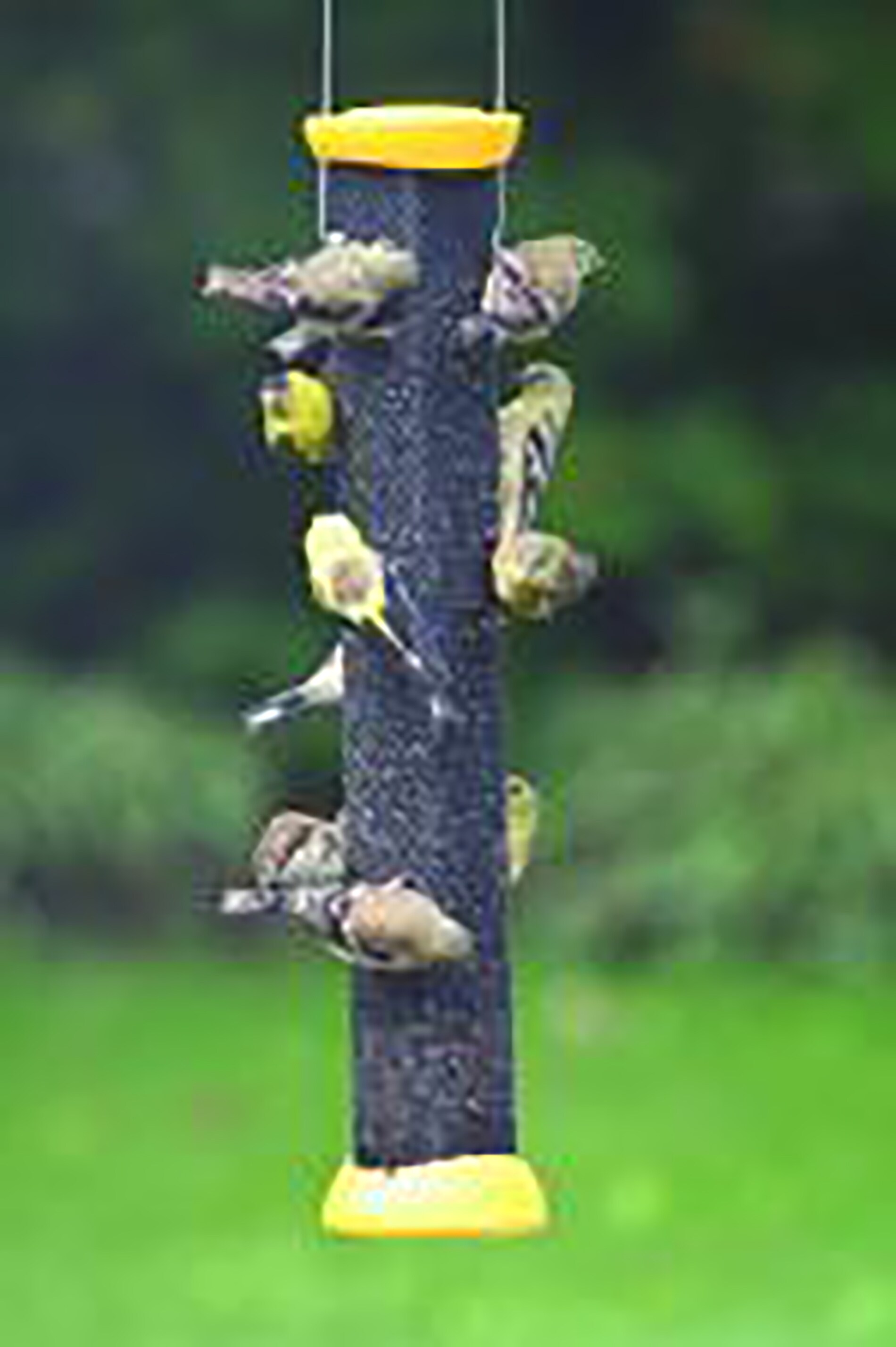 BIRDS CHOICE XCC18 Bird-Feeders - View #4