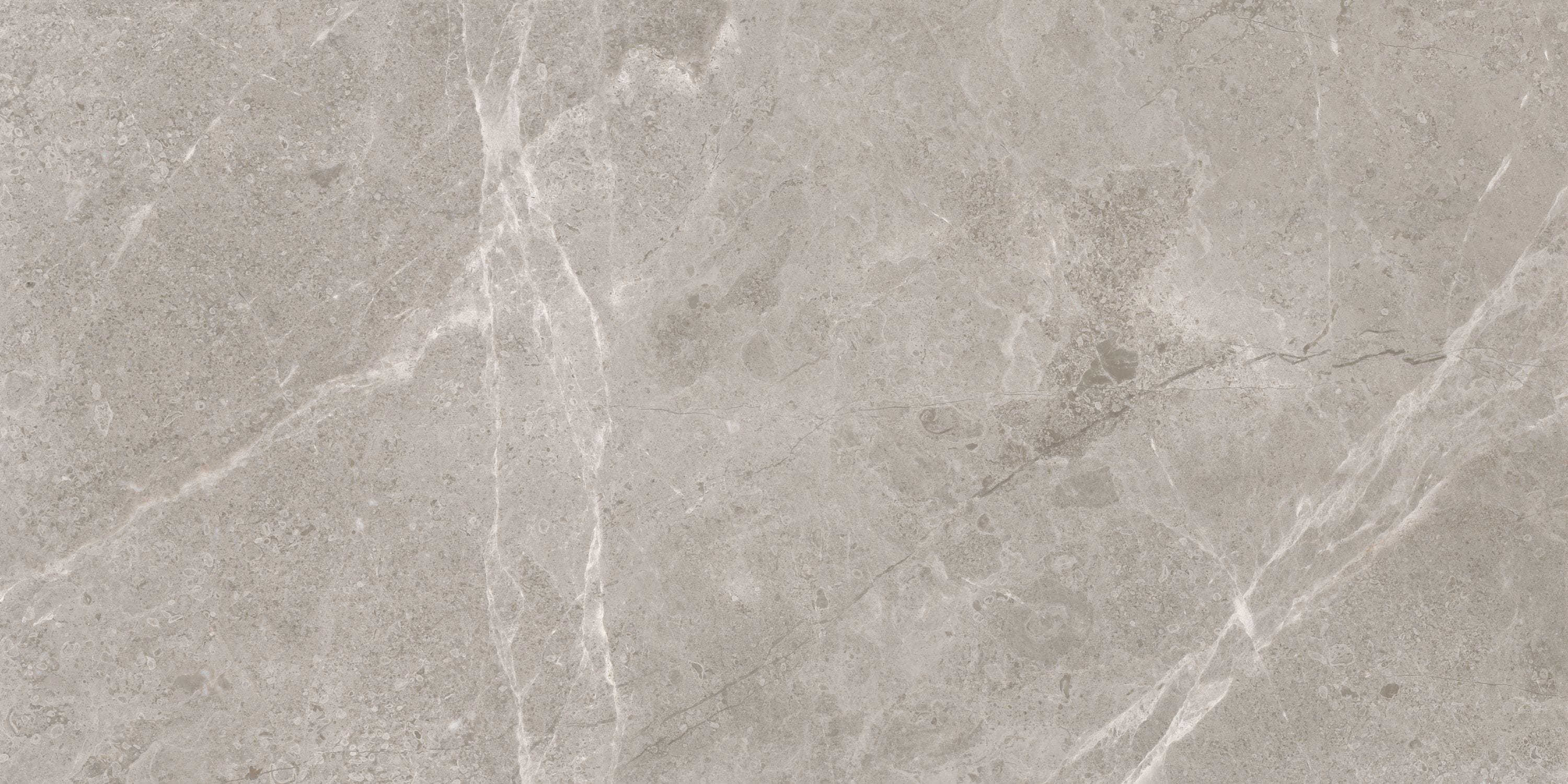 Anatolia Tile Ritz Gray 18-in x 36-in Polished Natural Stone Marble ...