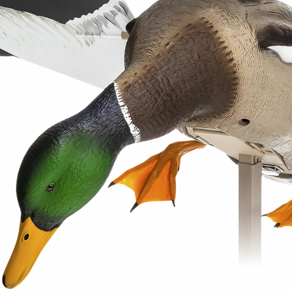 Avian X 408527 Hunting-Equipment - View #11