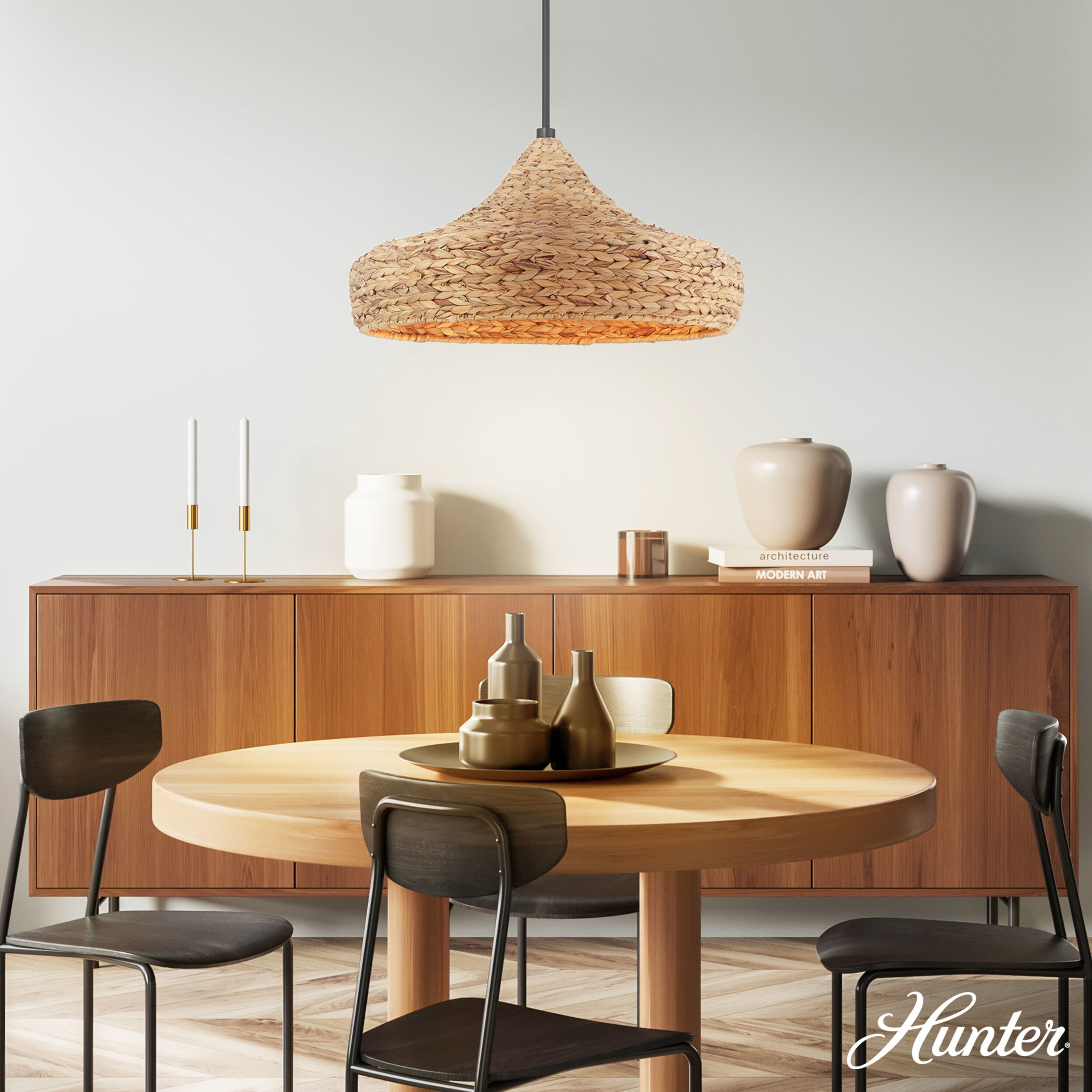Hunter 49030 Pendant-Lights - View #2