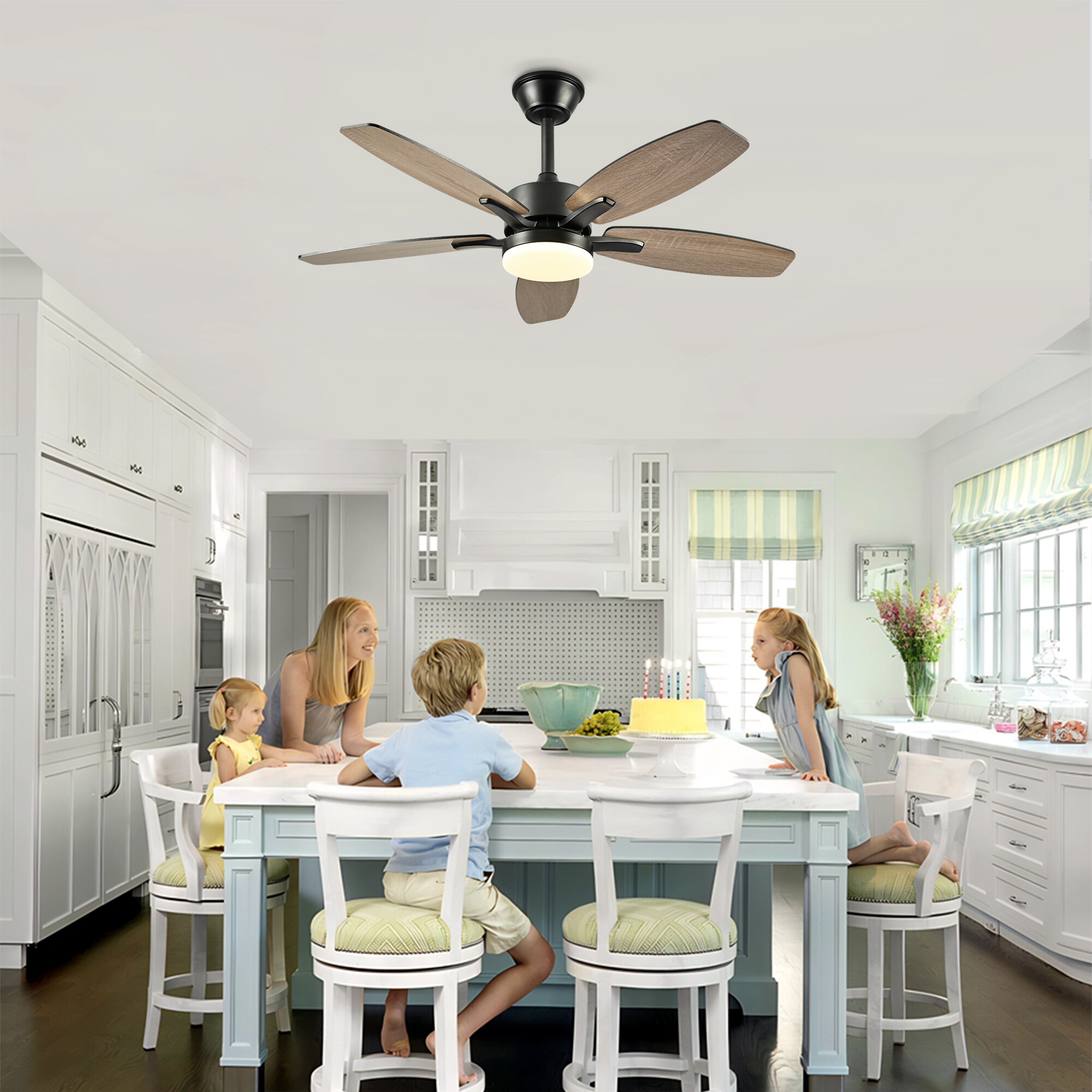 Vynxaria LS0515-W3596P462053 Ceiling-Fans - View #3