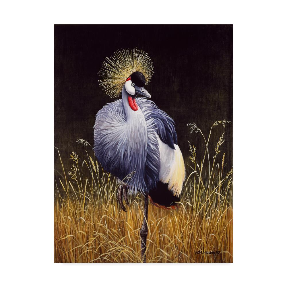 Trademark Fine Art ALI35662-C3547GG Framed 47-Inches H x 35-Inches W Animals Canvas Print
