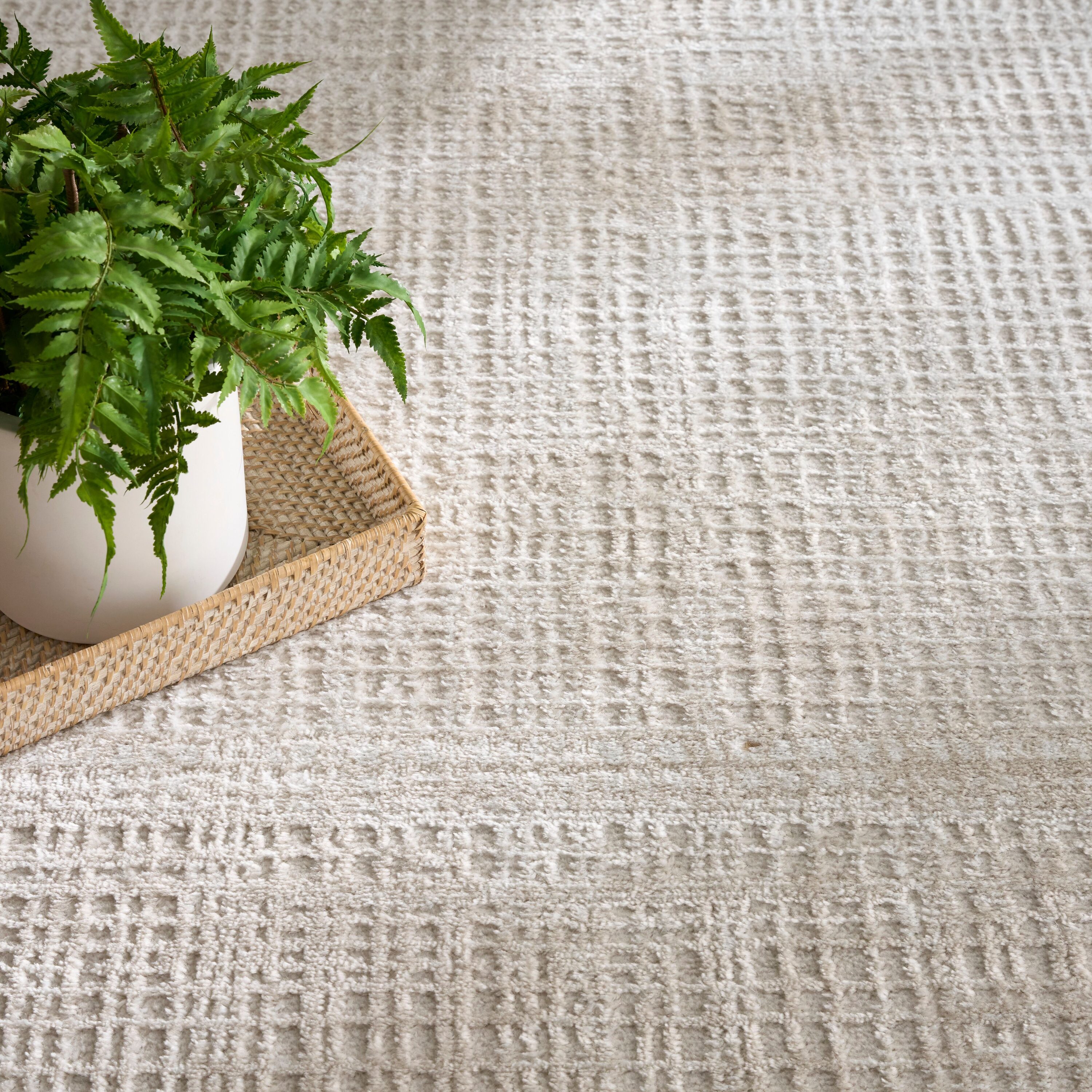 Nourison 841491153024 rugs - View #3