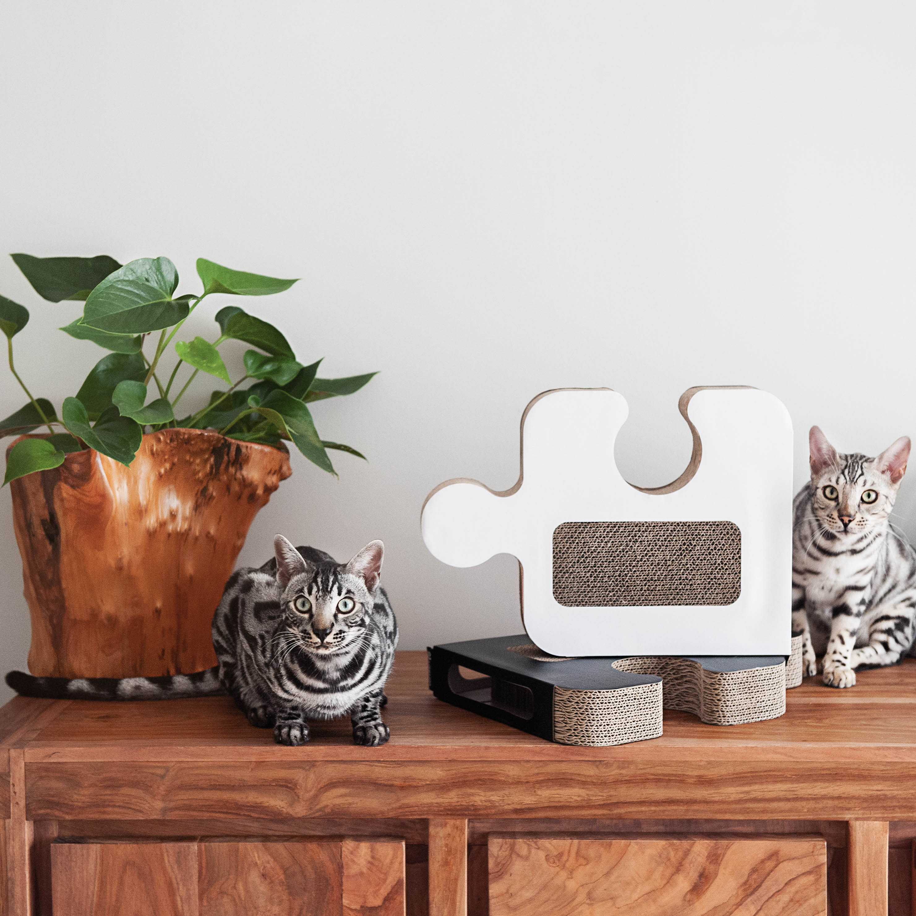 District70 5123 Cat-Trees - View #6