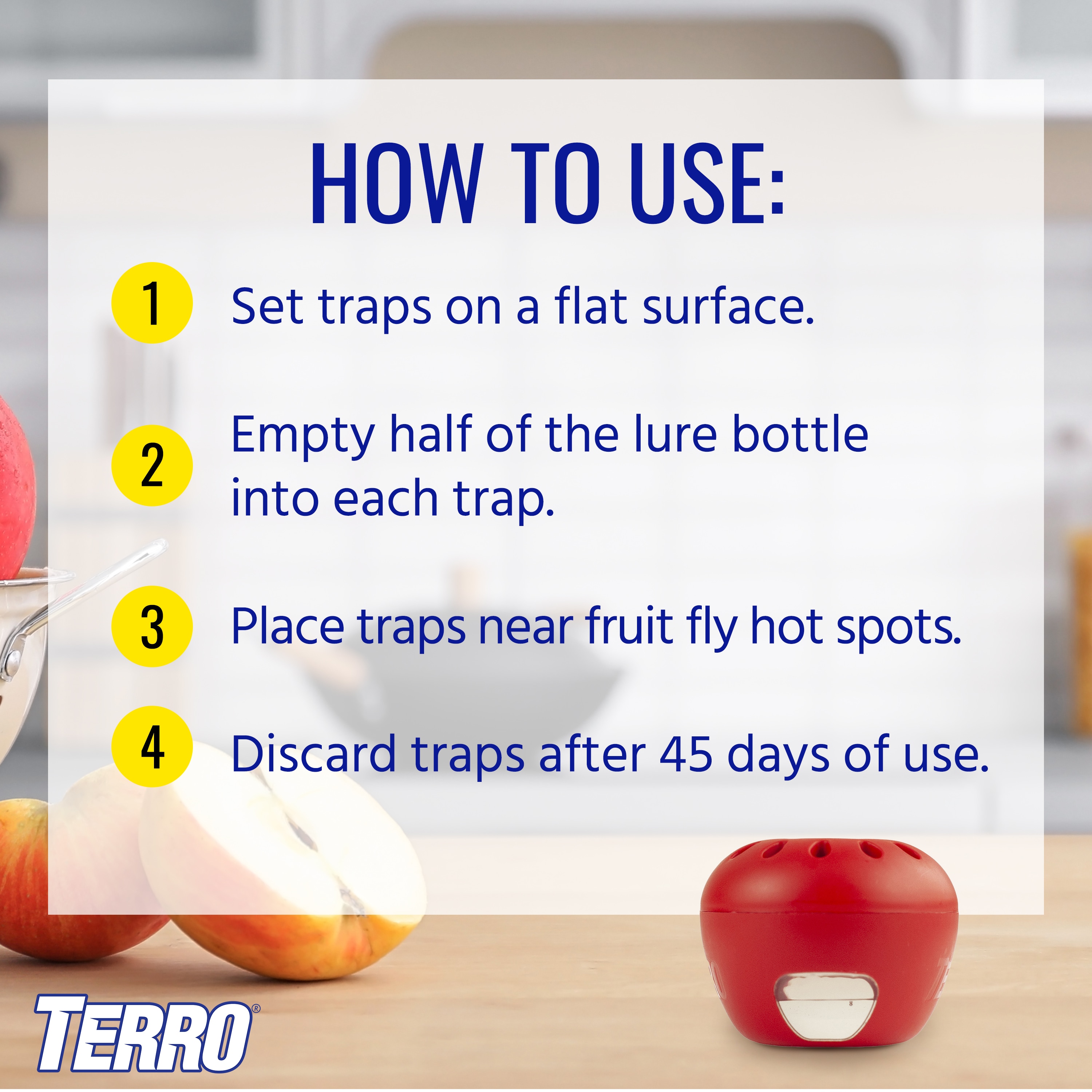  Terro Fruit Fly Trap, pack of 6 : Patio, Lawn & Garden