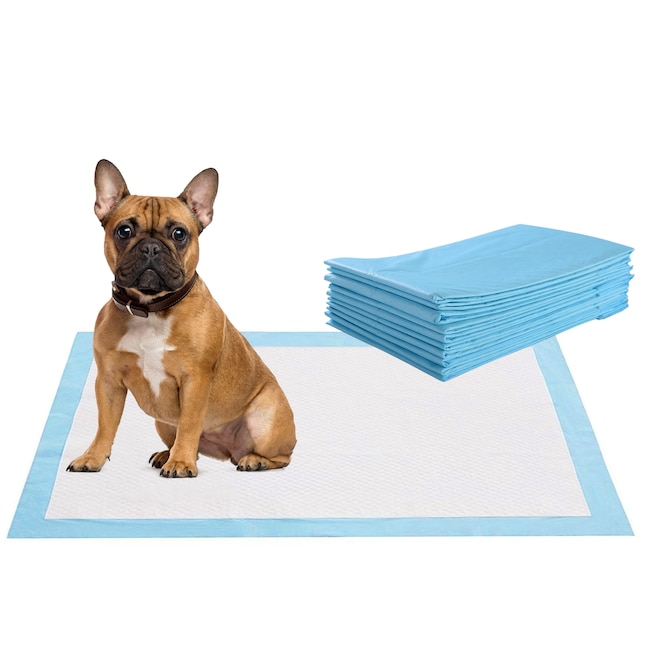 Slickblue D-CO-6016SP 150-Pieces 24x36 Disposable Non-Woven Pet Training Pads Sky Blue