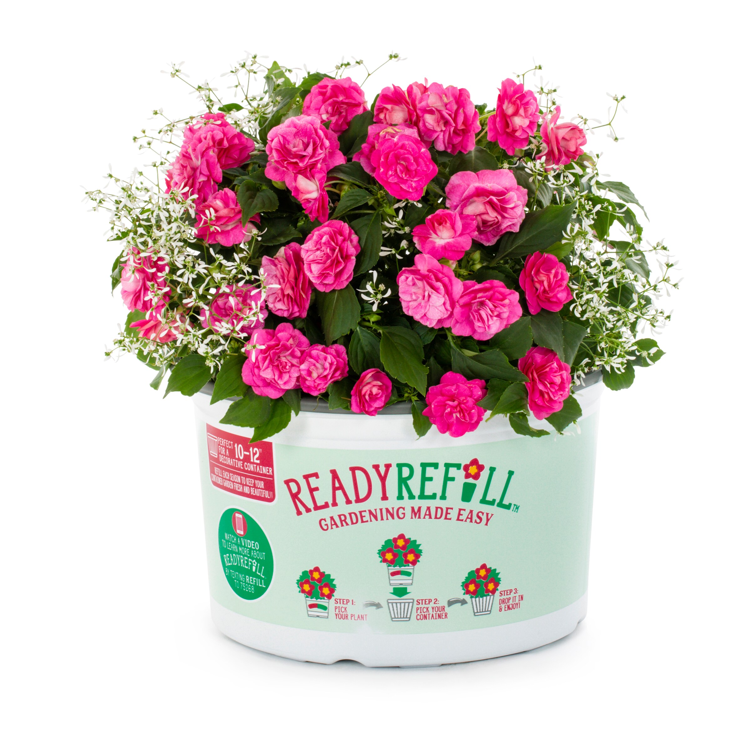 Ready Refill NURSERY Multicolor Mixed Annuals Combo 620 in 1.5-Gallon Pot