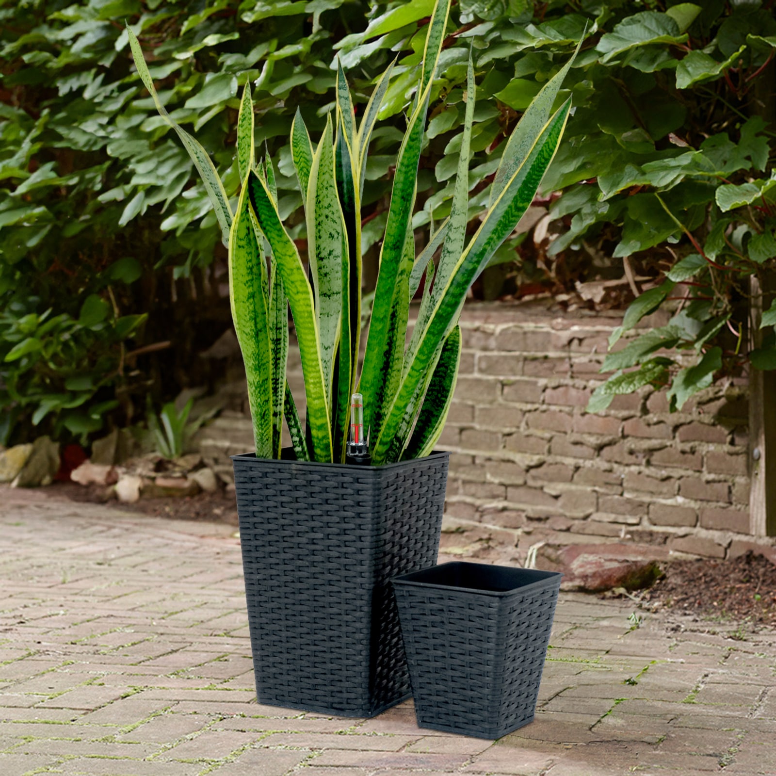 Siavonce XH44629 Planter-Window-Box - View #7