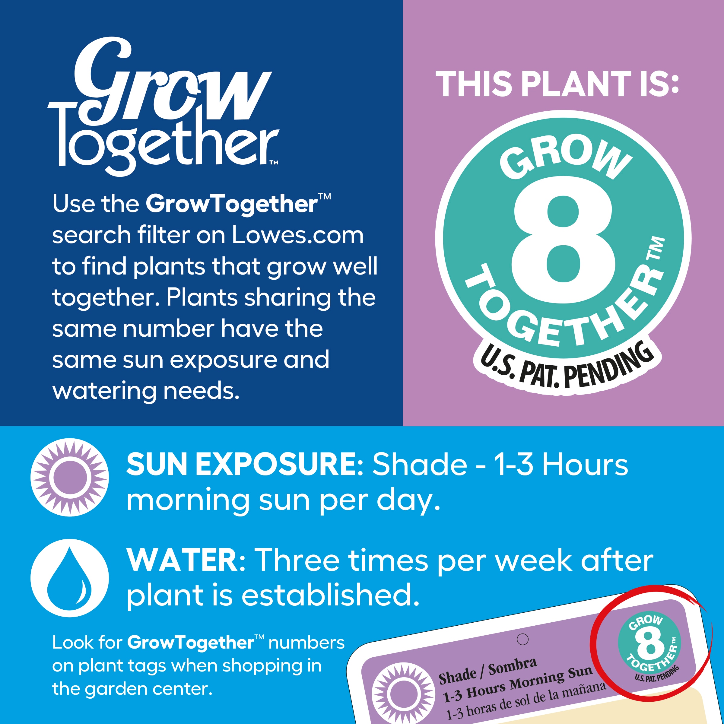 Lowe's 1613046 annuals - View #4