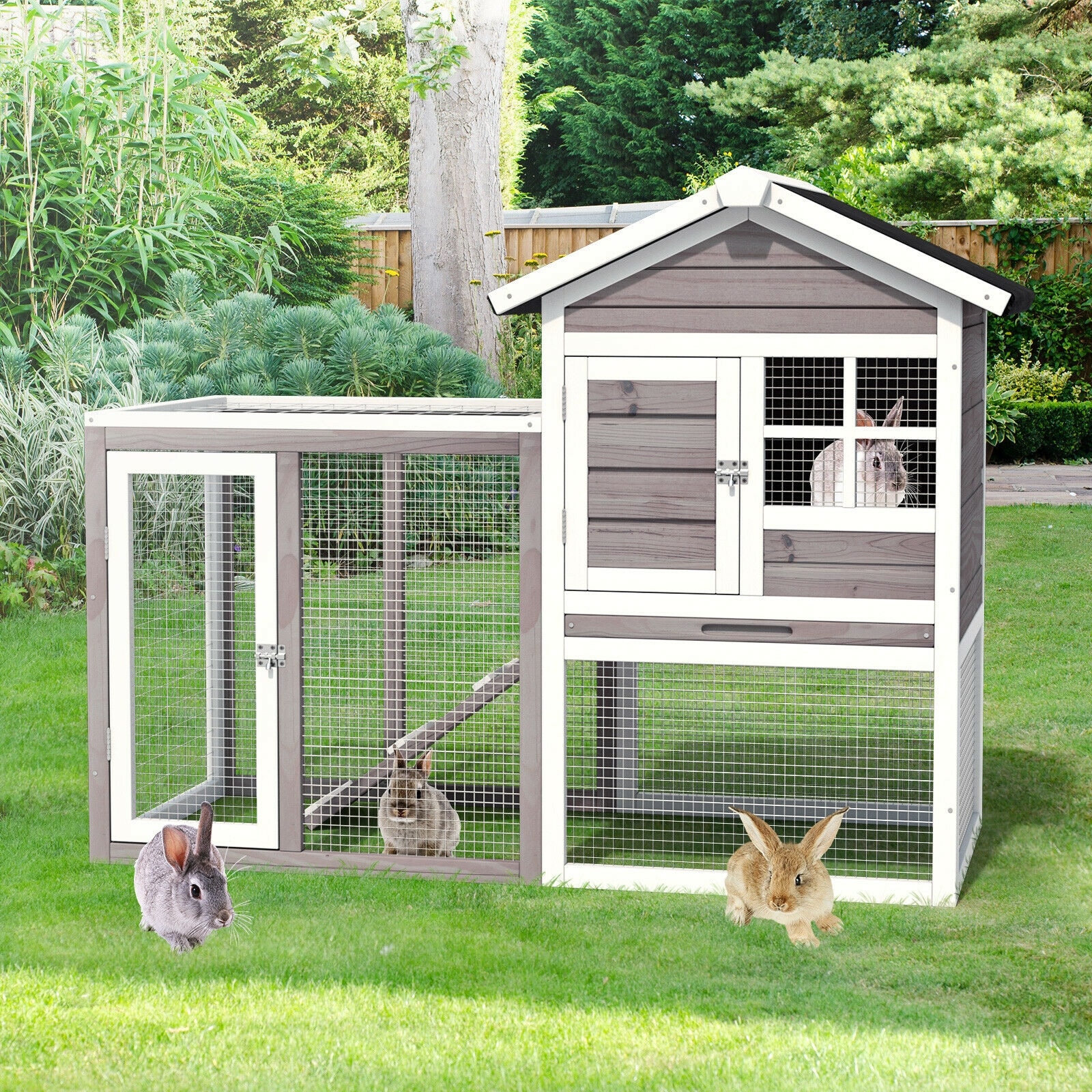LIVIZA GIG-PS026GR Chicken-Coops-Rabbit-Hutches - View #4