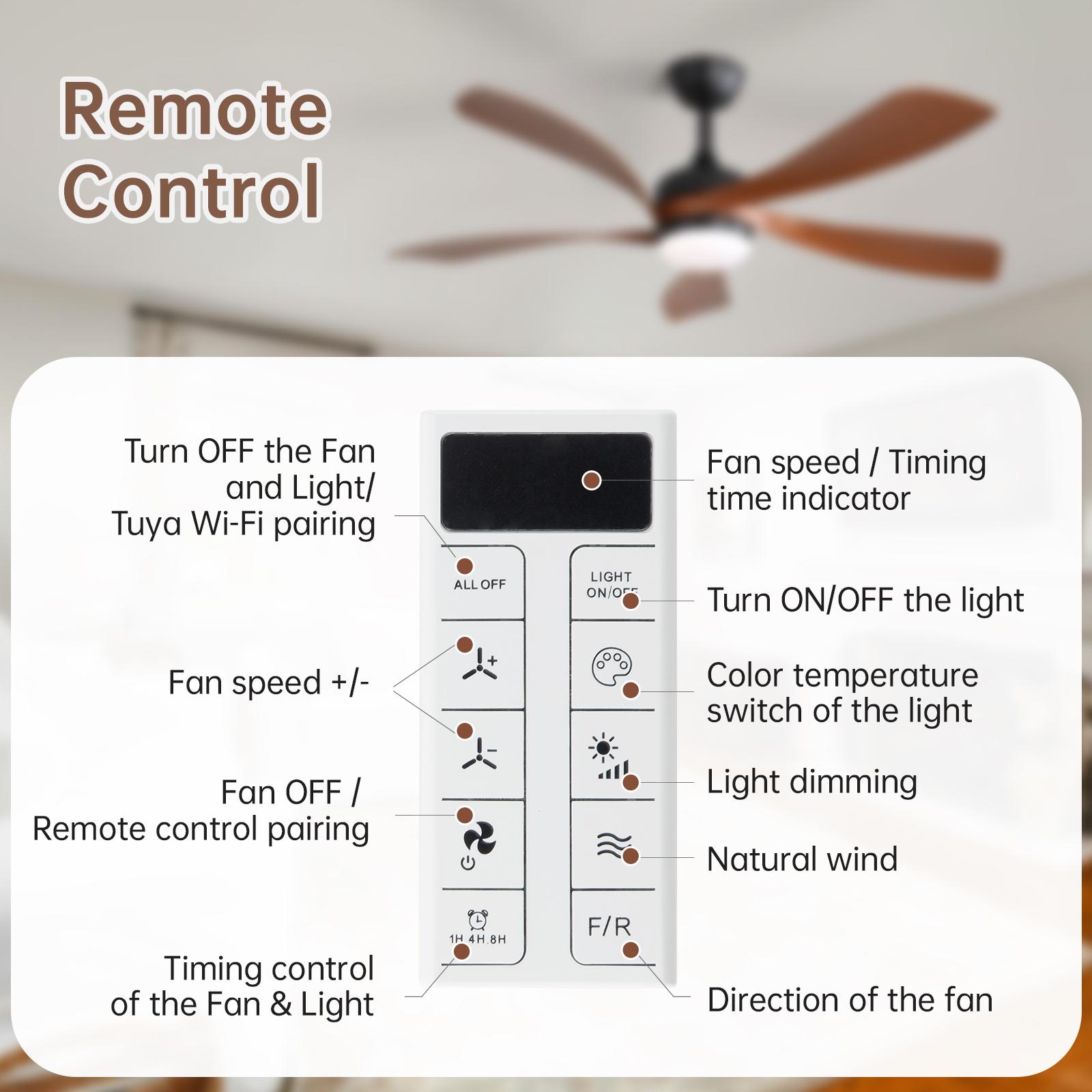 Bayfeve BF-387270-MP Ceiling-Fans - View #10