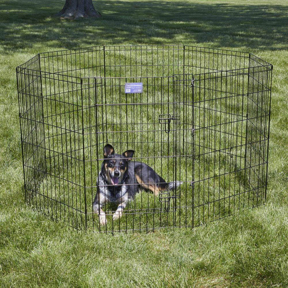 Mid-West Metal Products MidWest Exercise Pen 36-in x 24-in Black Wire ...