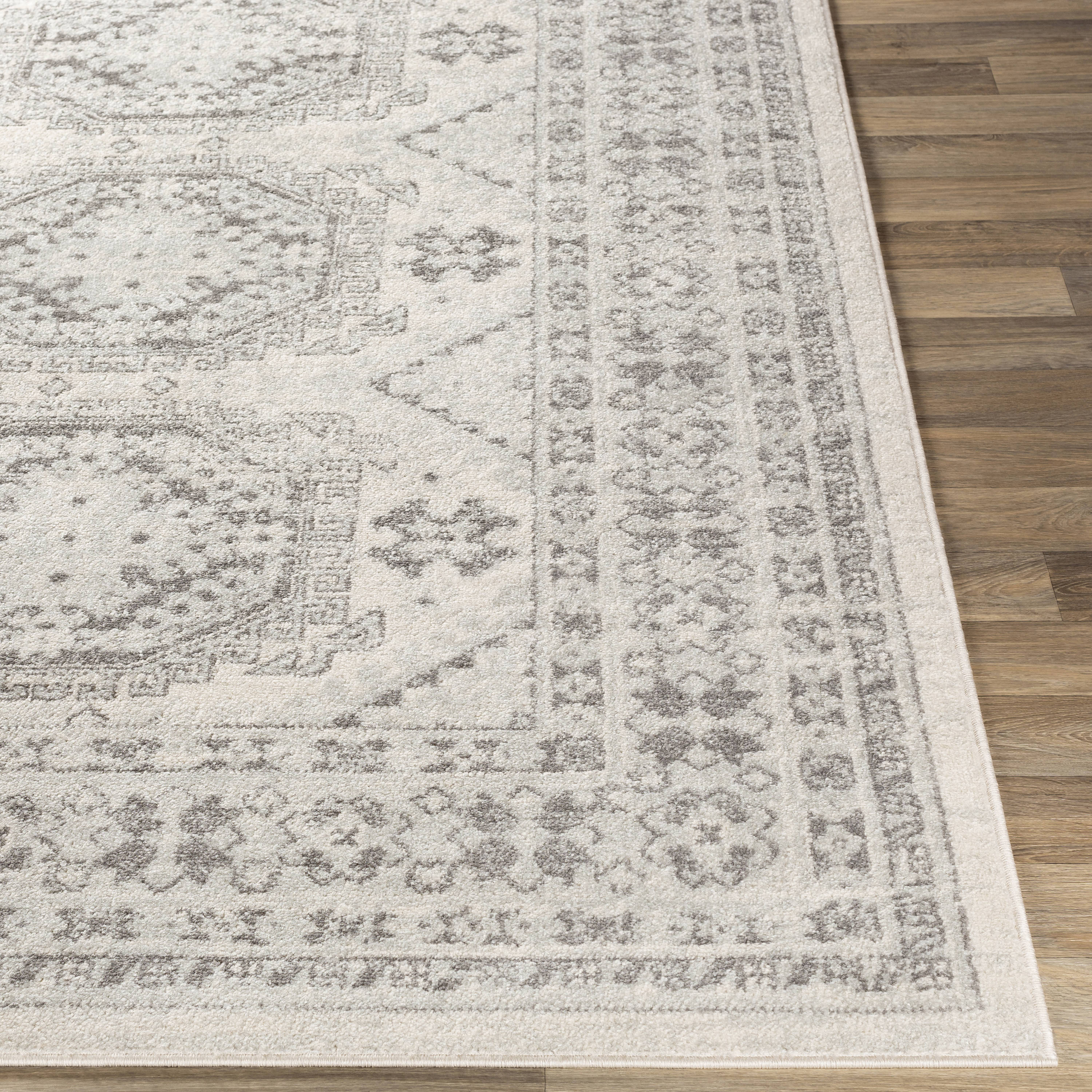Livabliss CHE2309-710103 rugs - View #3