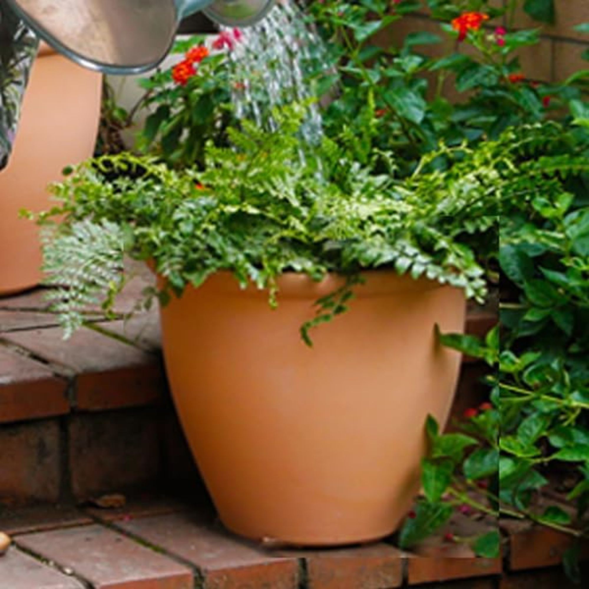 Worth B0DLKJ6P4P Planter-Window-Box - View #8