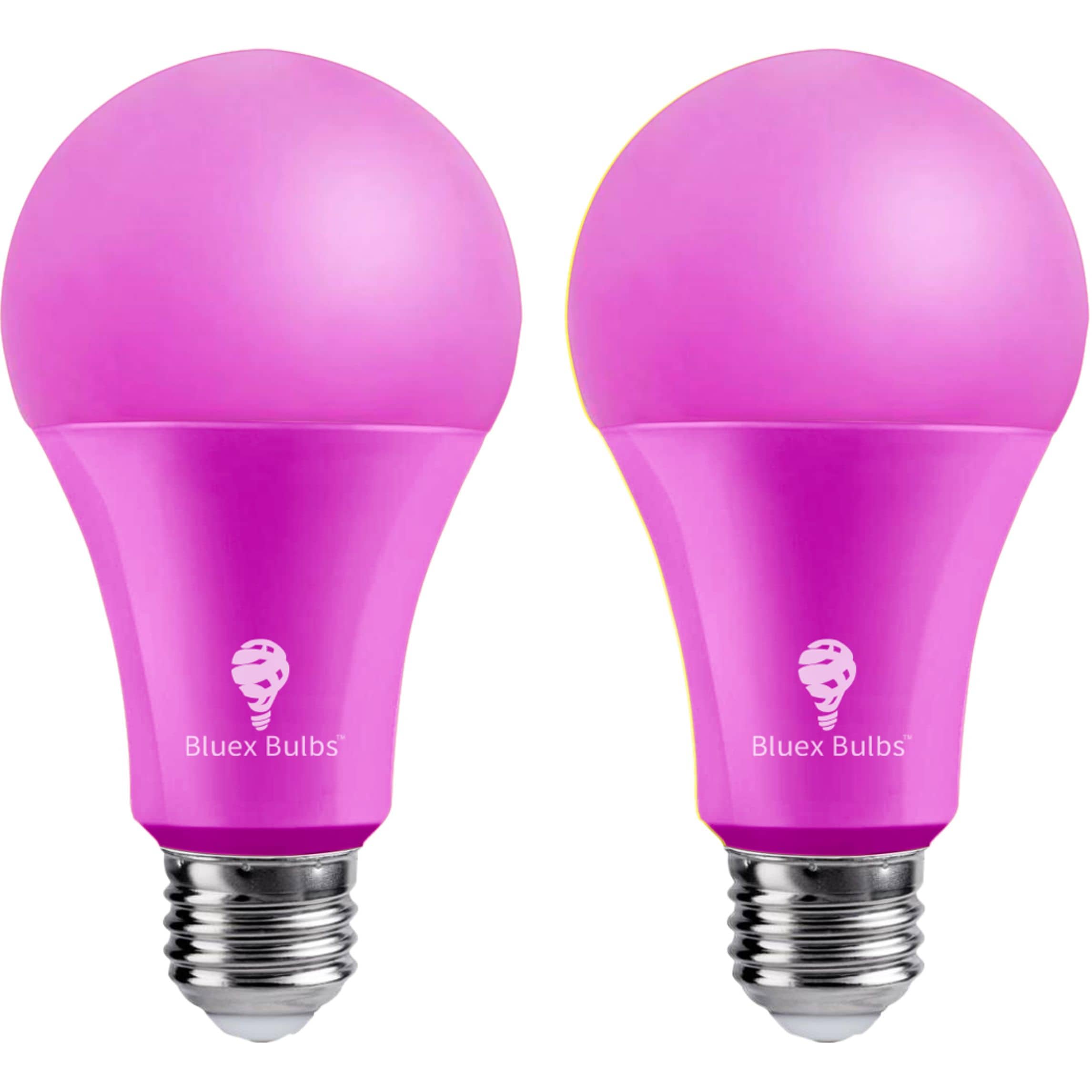 Bluex Bulbs BlueX LED 120-Watt EQ A21 Pink Medium Base (E-26) LED Light  Bulb (2-Pack) in the Decorative Light Bulbs department at