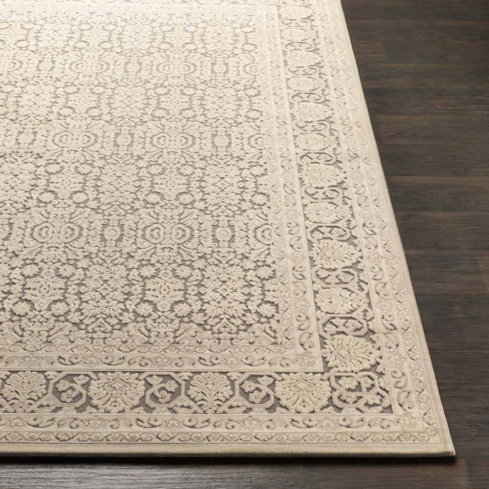 Surya ASP2300-5273 rugs - View #3