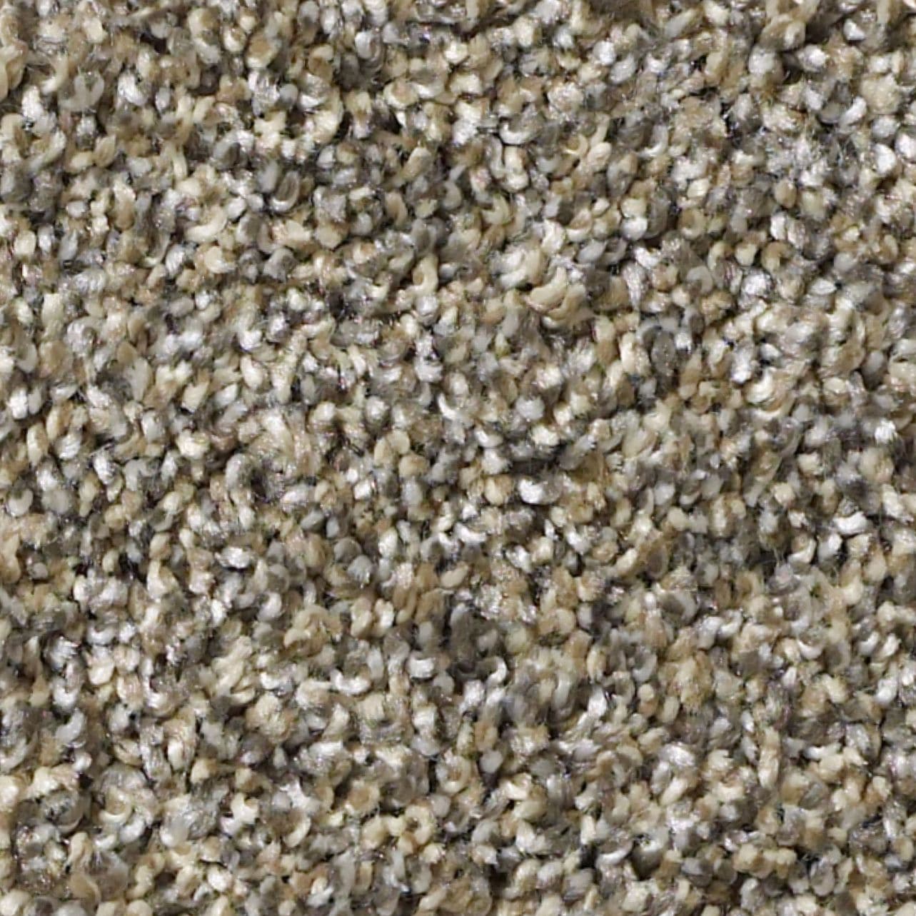 Style Selections (Sample) 8-in x 8-in Soft Shelter II Wild Mushroom Brown 34.1-oz sq yard Solution-dyed polyester Textured Indoor Carpet
