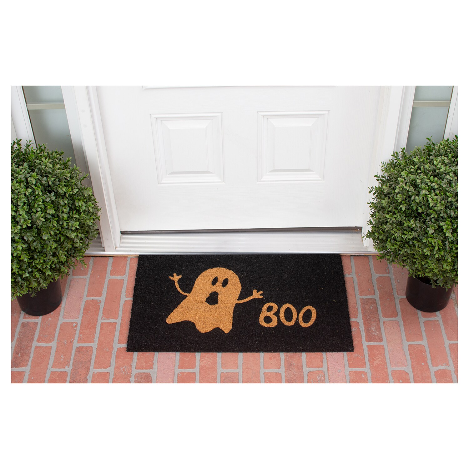Callowaymills 101822436 Mats-Cat - View #3