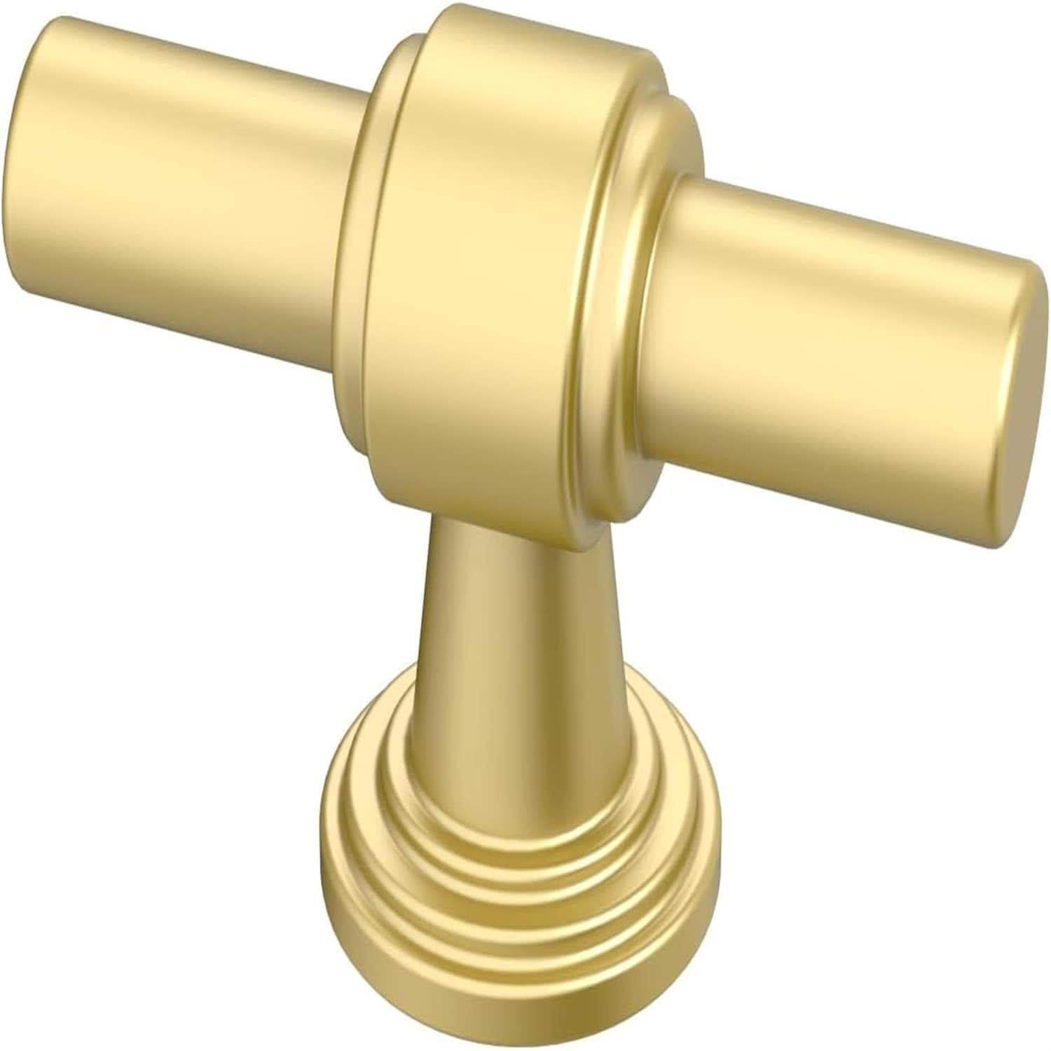 Rbied NAO-4 10 Pack Matt Gold Cabinet Knobs