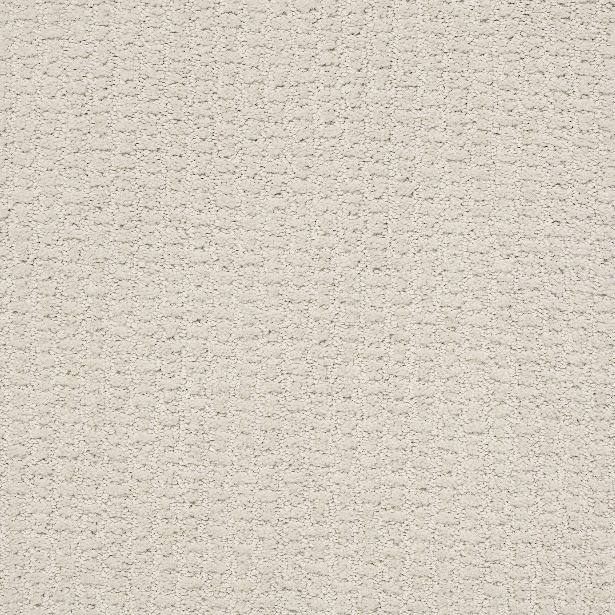 STAINMASTER 7L90300173 Music Row Studio Taupe Brown 25-oz sq yard Nylon Pattern Indoor Carpet