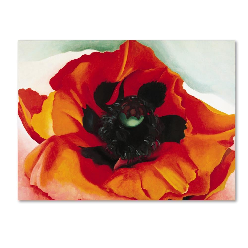 Trademark Fine Art ALI10055-C2432GG Wall-Art - View #2