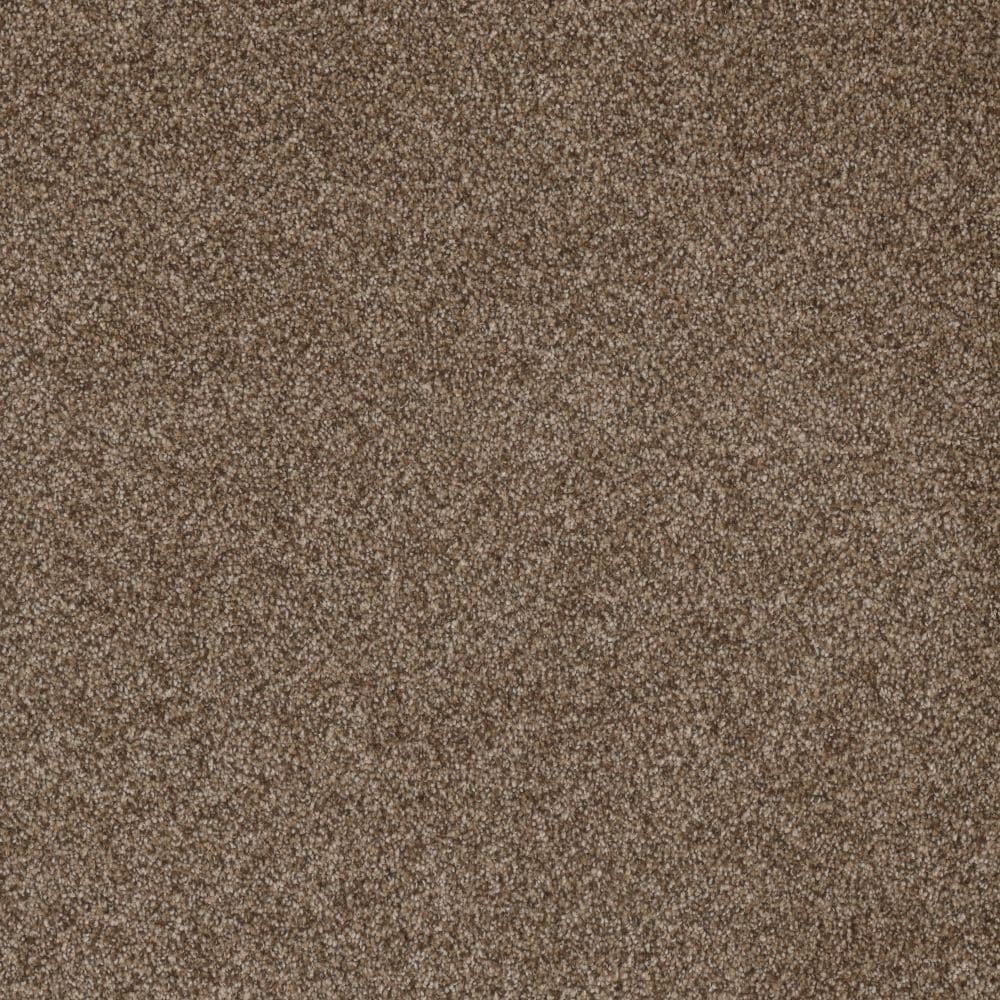 STAINMASTER S9664-113-1200-MO Playa II Tropical Brown 64-oz sq yard Solution-dyed polyester Textured Indoor Carpet