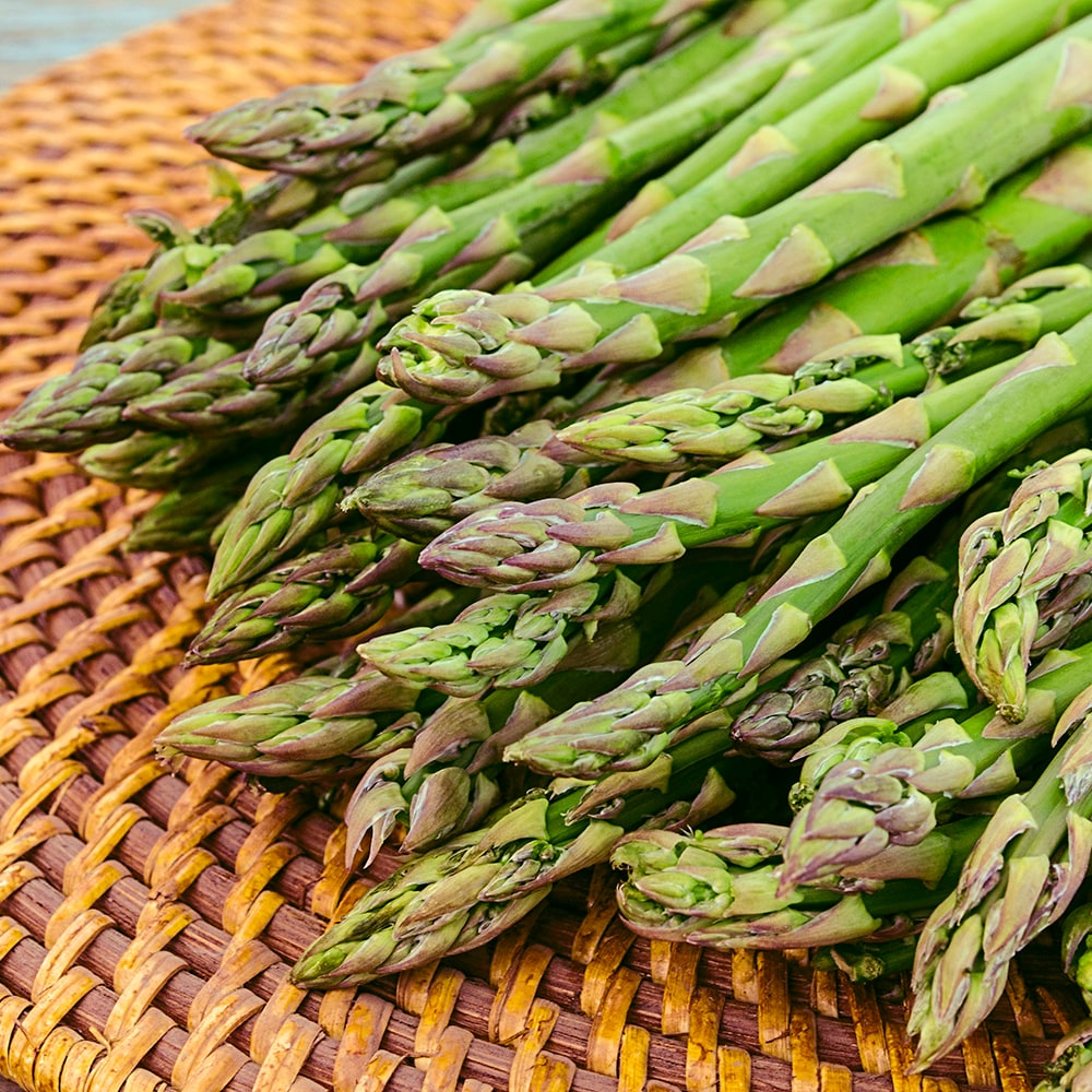 Gurney's Seed and Nursery 74002 Jersey Giant Asparagus 10 Pack Dormant Starter Plant in Bareroot