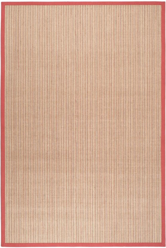 Safavieh NF442B-6 Natural Fiber Groves 6 x 9 (ft) Loomed Sisal Rust/Rust Rectangular Indoor Stripe Coastal Area rug