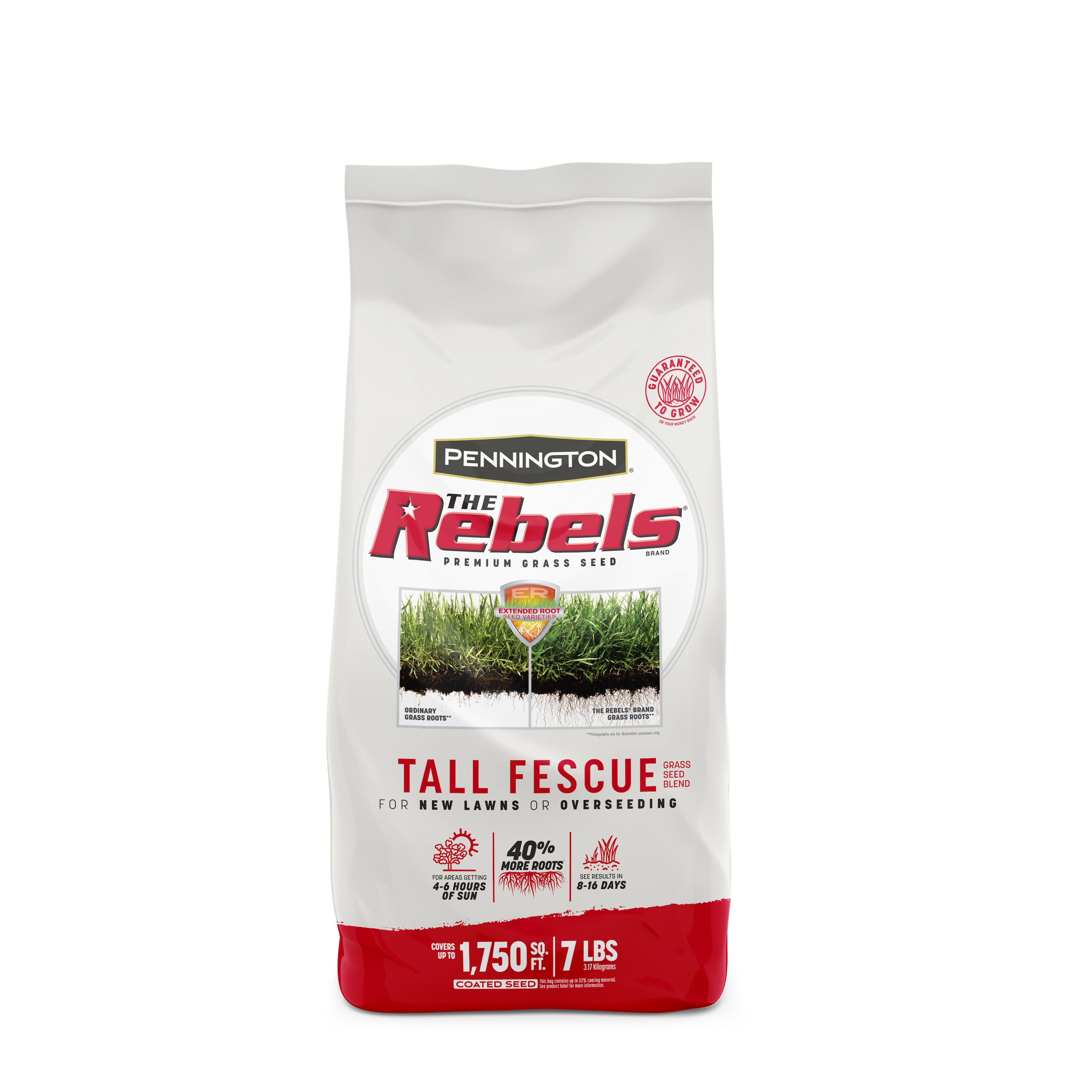 Pennington 2149602288 The Rebels 7-lb Tall Fescue Grass Seed